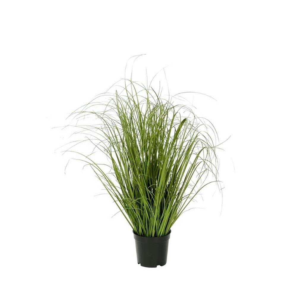 Künstliche Zimmerpflanze Kunstpflanze GRAS aus Kunststoff künstliche Gräser Floristenqualität H Gräser, Posiwio, Höhe 63,00 cm