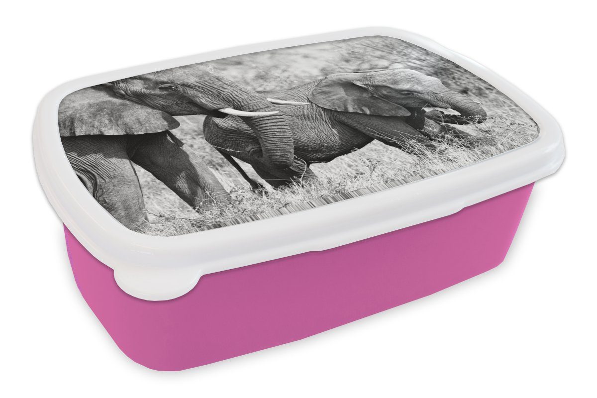 MuchoWow Lunchbox Elefant - Tiere - Gras - Schwarz und weiß, Kunststoff, (2-tlg), Brotbox für Erwachsene, Brotdose Kinder, Snackbox, Mädchen, Kunststoff rosa