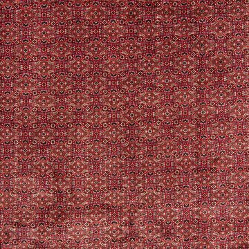 Orientteppich Perser - Bidjar - 381 x 298 cm - dunkelrot, morgenland, rechteckig, Höhe: 15 mm, Wohnzimmer, Handgeknüpft, Einzelstück mit Zertifikat