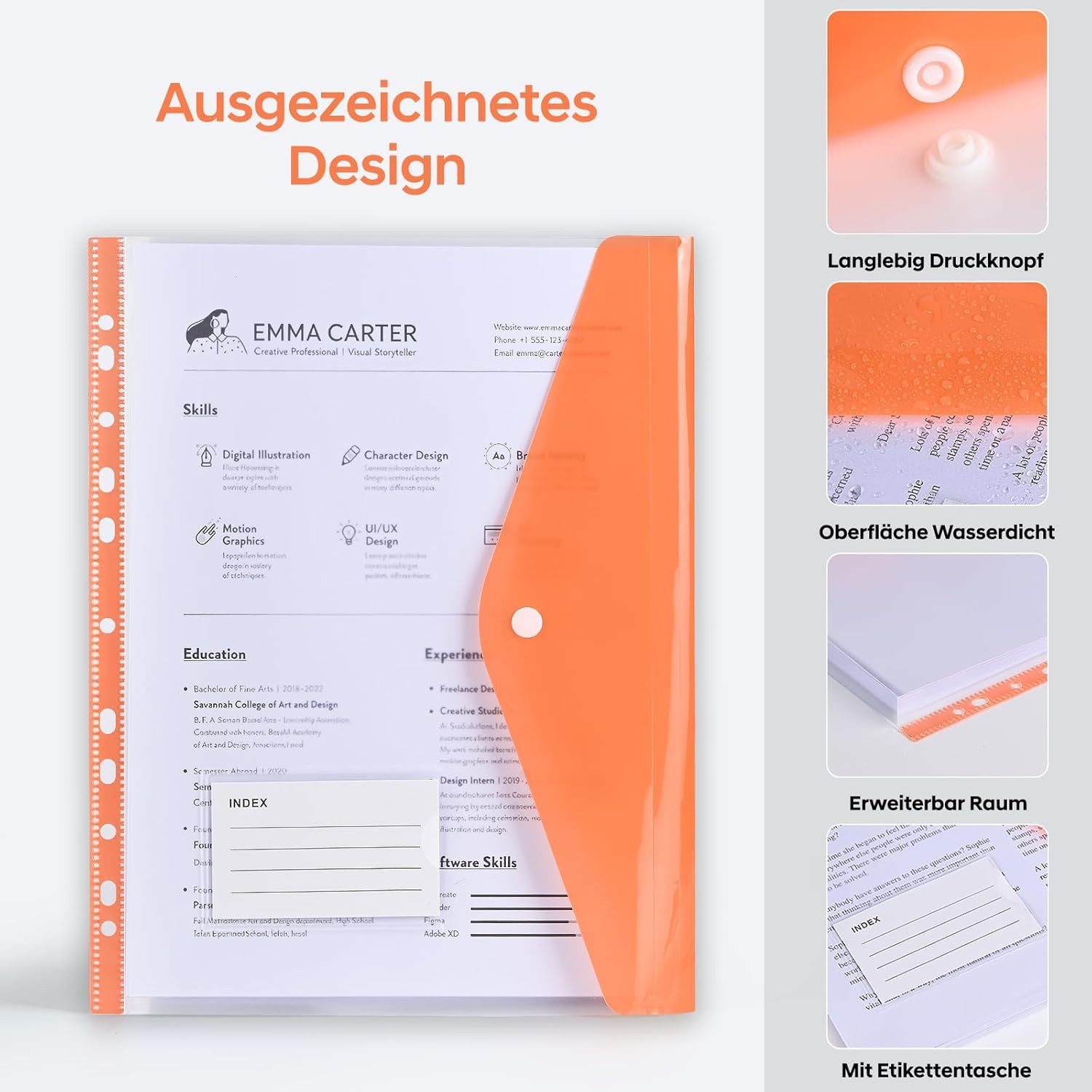 FELIXLEO Fächermappe 12x Dokumententasche A4 Abheftbar 11 Loch Druckknopf Kunststoff Mappe