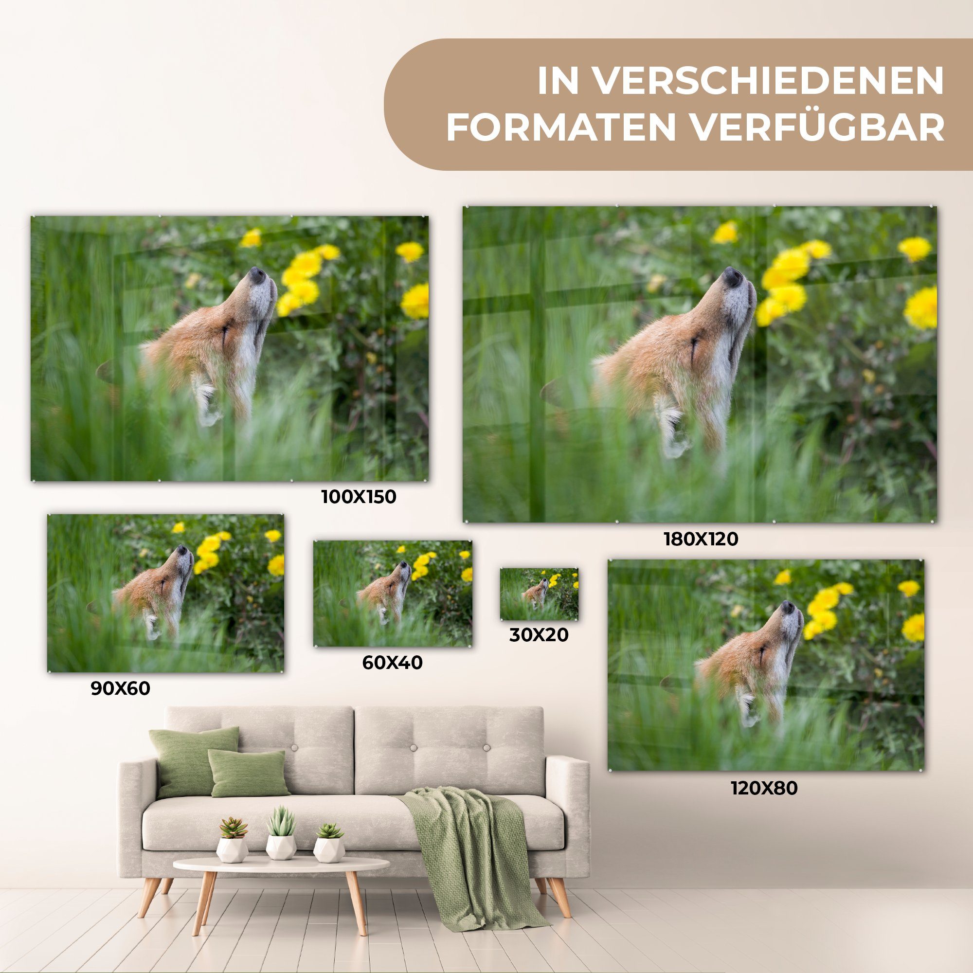 MuchoWow Acrylglasbild Fuchs - Schlafzimmer Acrylglasbilder & Blumen - Wohnzimmer (1 Gelb, St)