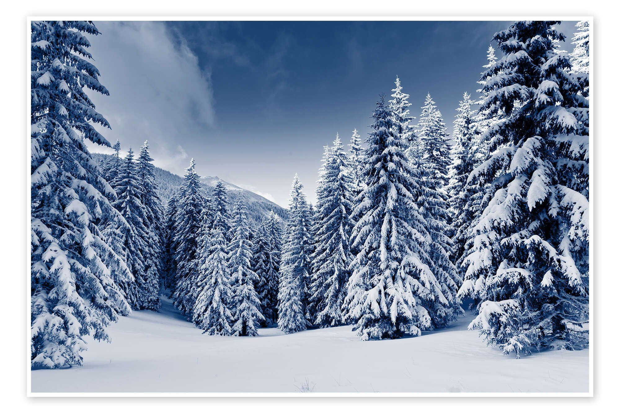 Posterlounge Wandbild Winterlandschaft mit schneebedeckten Bäumen, Editors Choice, erhältlich als Poster, Leinwandbild, Wandsticker oder Acrylglasbild