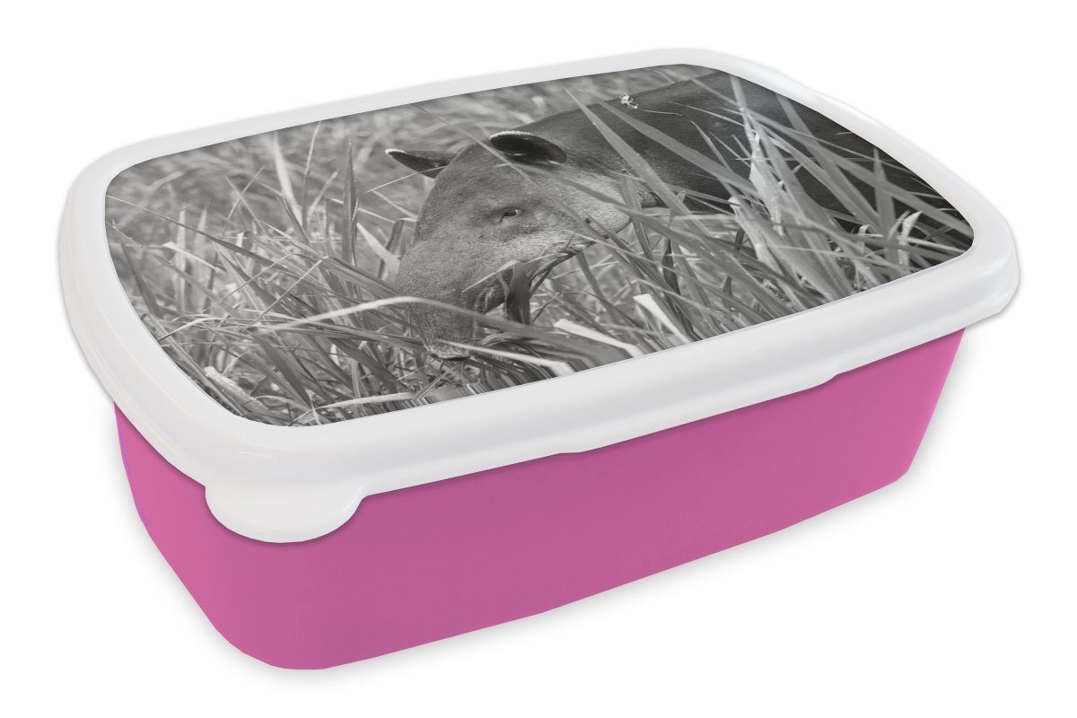 Tapir in, Mädchen, MuchoWow (2-tlg), Nationalpark von Mittelamerikanischer rosa Kunststoff Kunststoff, Erwachsene, Brotdose im Kinder, Snackbox, Costa Rica Lunchbox für Brotbox