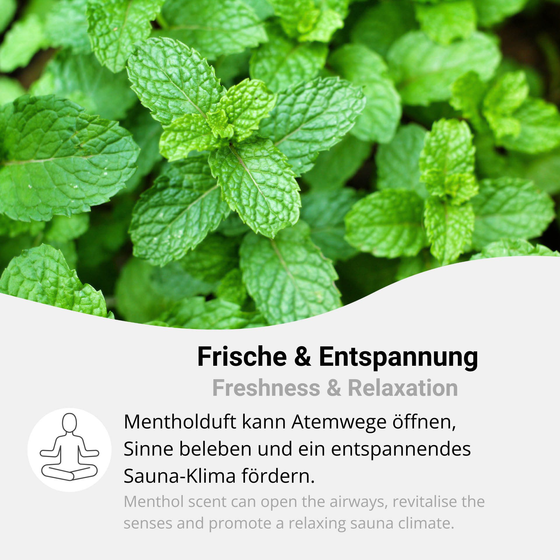 DistrEbution Sauna-Aufgussset Mentholkristalle aus 100% Minzöl, 1kg Reines Menthol, Sauna Aufguss (1-tlg) Leicht dosierbar in Kristallen – Bild 5 von 5