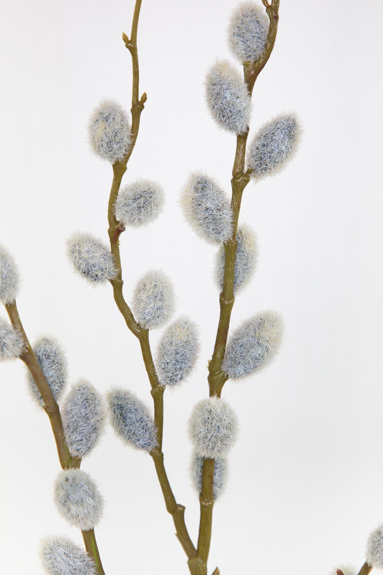 Detailansicht des Produkts 2