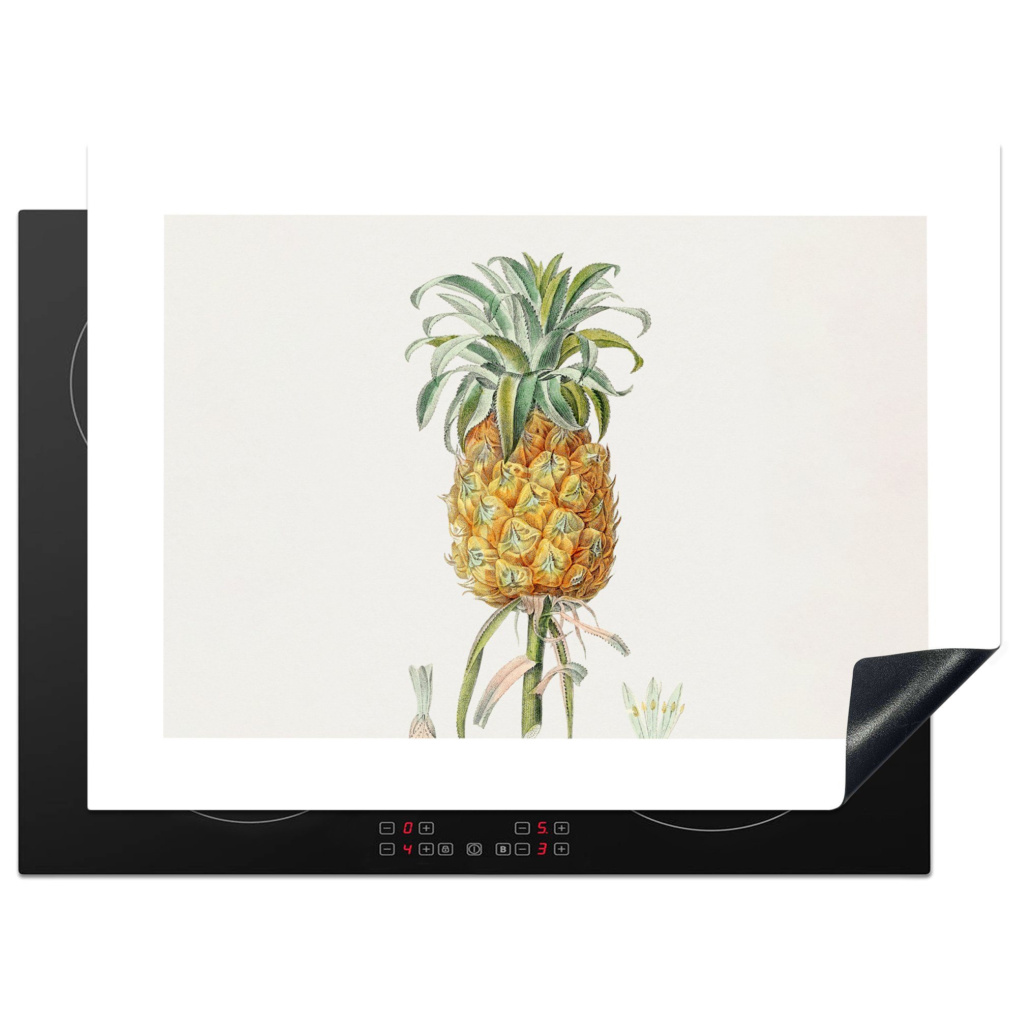 MuchoWow Herdblende-/Abdeckplatte Ananas - Obst - Vintage, Vinyl, (1 tlg), 71x52 cm, Induktionskochfeld Schutz für die küche, Ceranfeldabdeckung