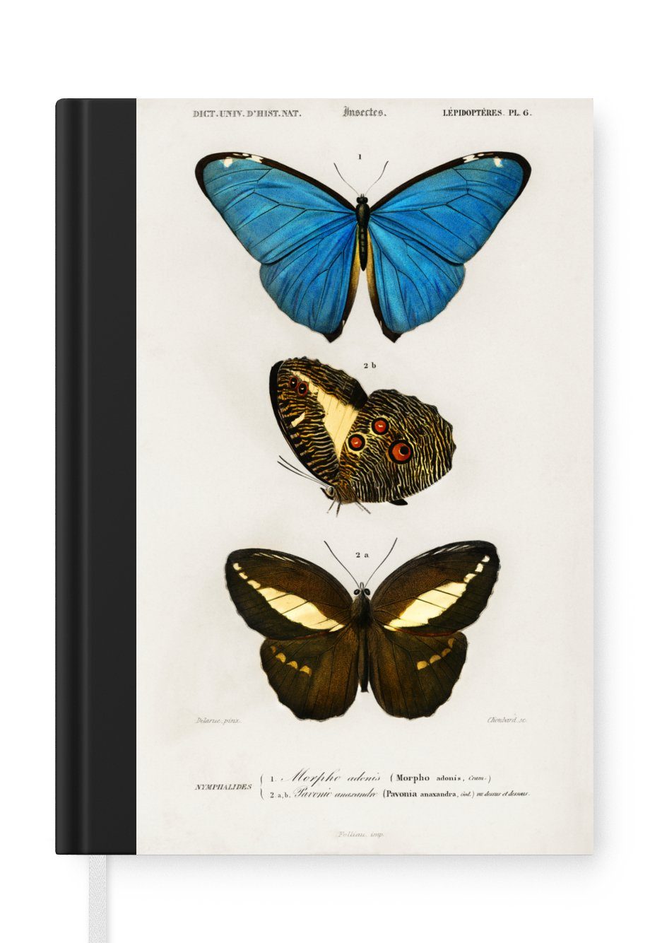 MuchoWow Notizbuch - Notizheft, A5, - 98 Haushaltsbuch Vintage Insekten, Journal, Seiten, Schmetterling Merkzettel, Tagebuch