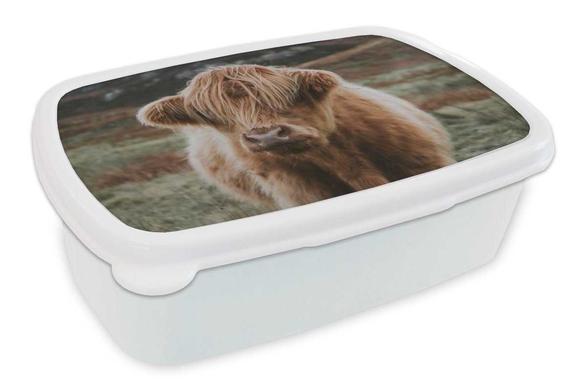 MuchoWow Lunchbox Kuh - Haare - Tiere, Kunststoff, (2-tlg), Brotbox für Kinder und Erwachsene, Brotdose, für Jungs und Mädchen weiß