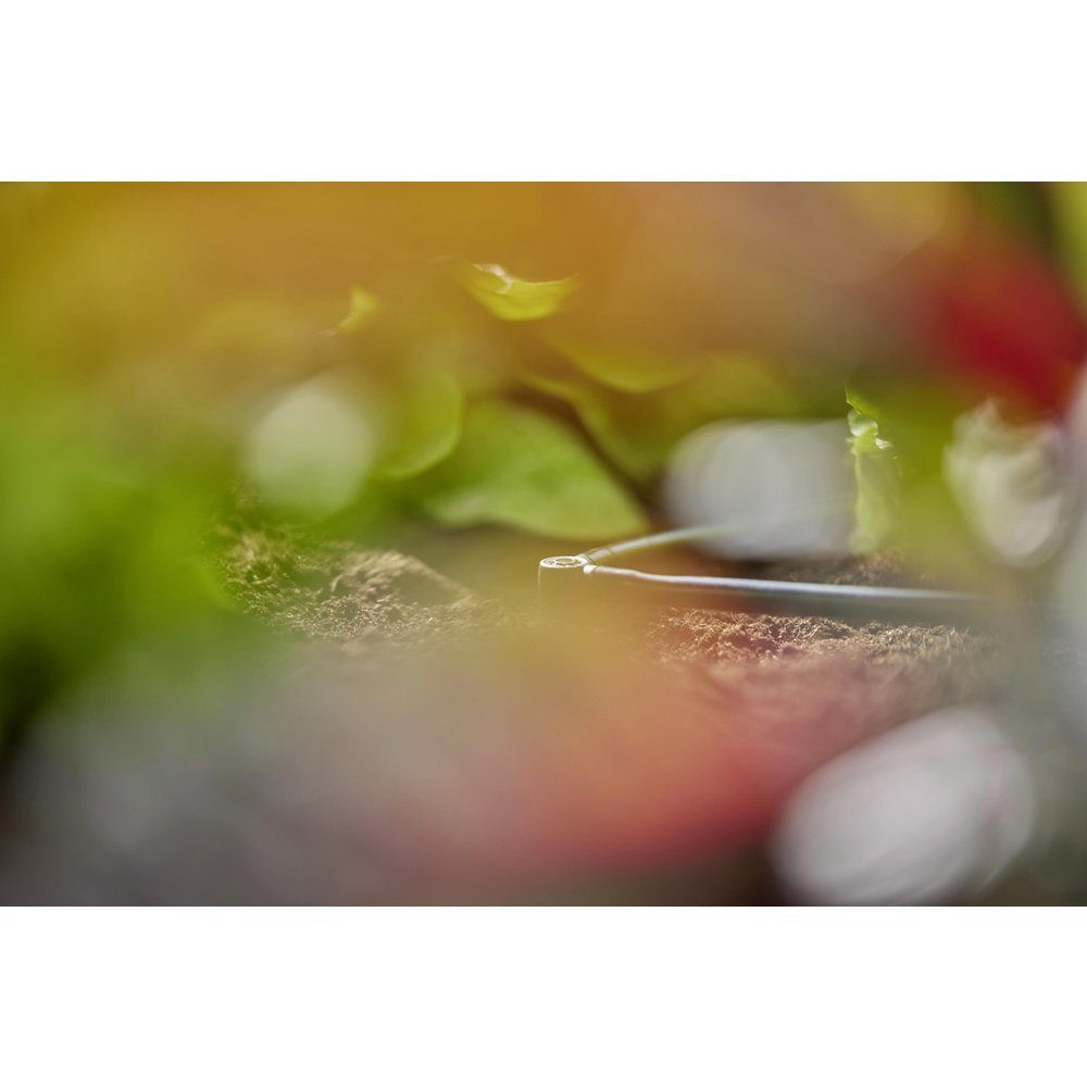Thumbnail - GARDENA Bewässerungsbrause GARDENA Micro-Drip System L-Stück 4,6 mm (3/16) 13212-20