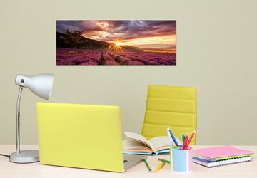 Wallario Glasbild, Lavendelfeld bei Sonnenuntergang - Sonnenstrahlen, in verschiedenen Ausführungen