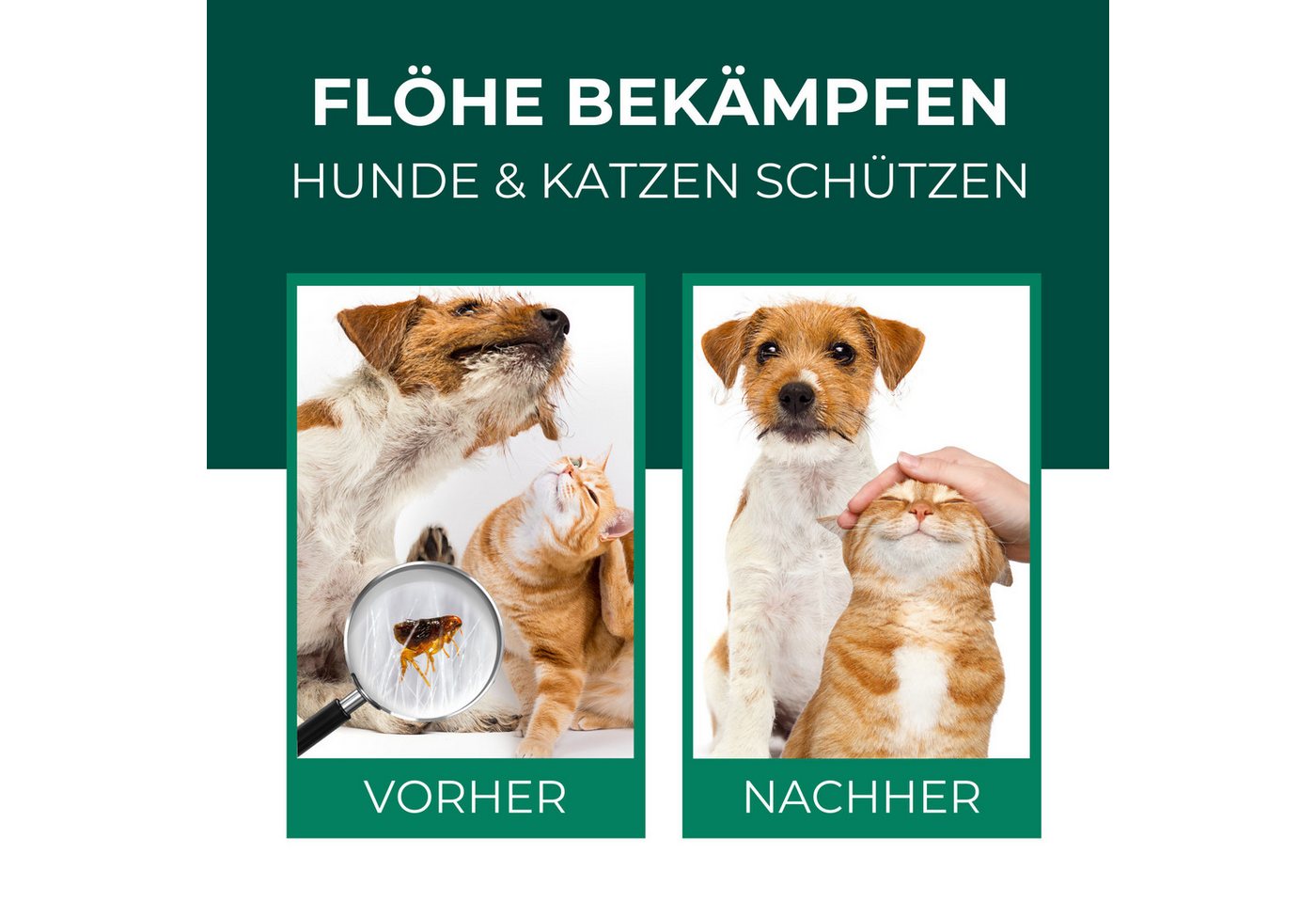 Thumbnail - Silberkraft Insektenspray Silberkraft Flohspray für Hunde und Katzen - Anti-Floh-Spray, 6000 ml, 12-St., Repellent mit s...