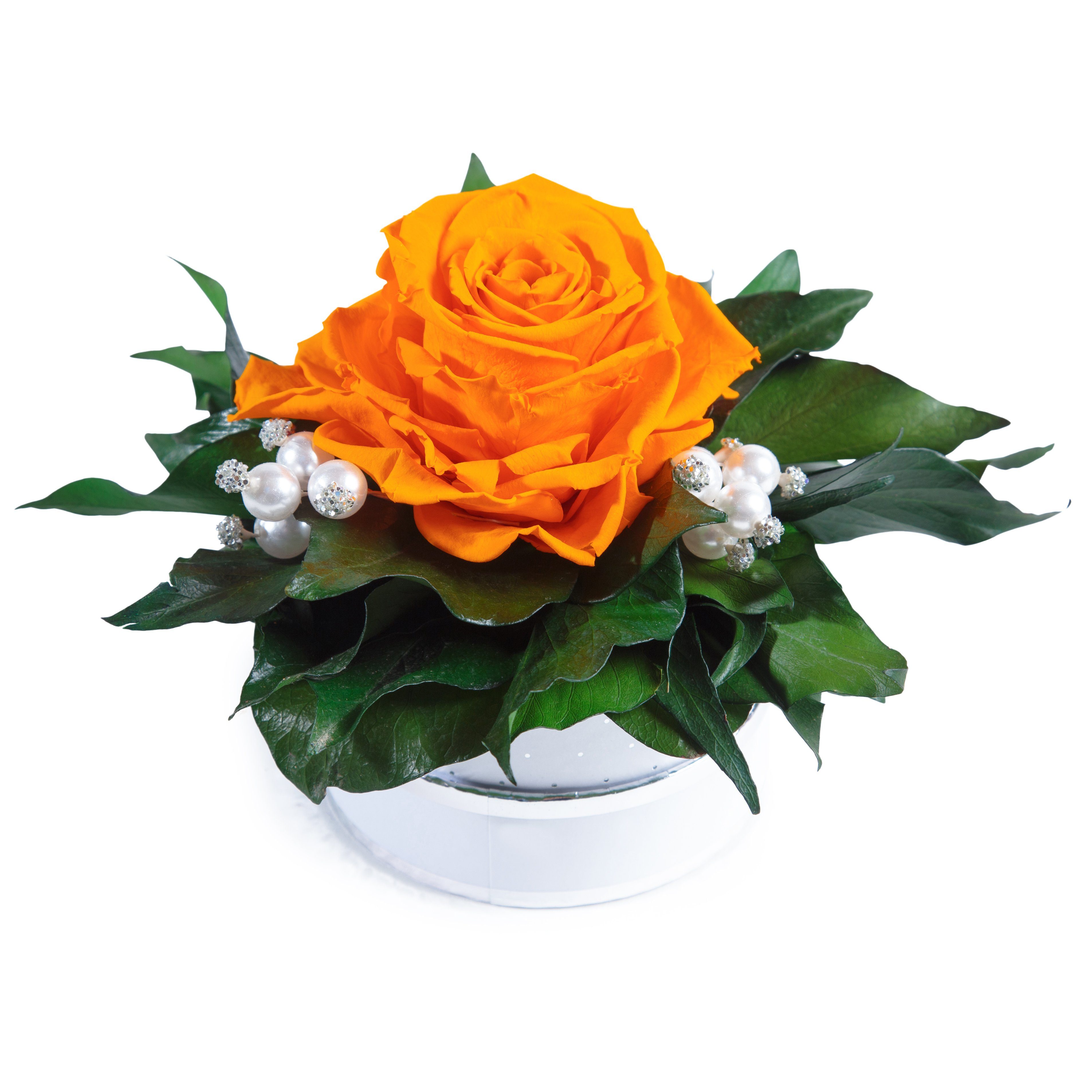 Kunstblume Infinity Rosenbox Diamonds and Pearls günstig online kaufen