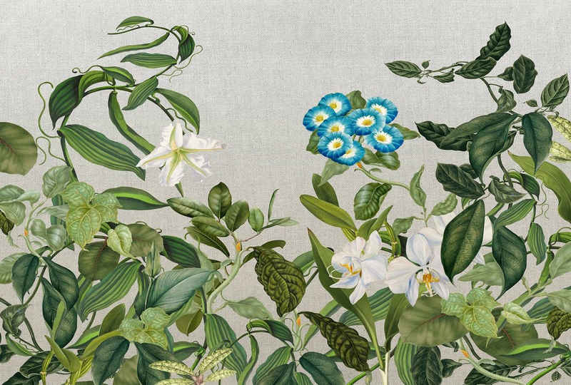 Architects Paper Fototapete Atelier 47 Botanic Sketch 1, glatt, floral, (4 St), Vlies, Wand, Schräge, Decke