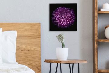 OneMillionCanvasses® Leinwandbild Die Blätter einer lila Blume auf schwarzem Hintergrund, (1 St), Leinwand Bilder für Wohnzimmer Schlafzimmer