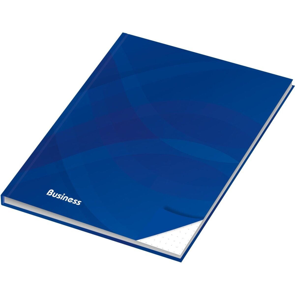RNK Verlag Notizbuch Notizbuch Business A5 blau dotted 96 Blatt