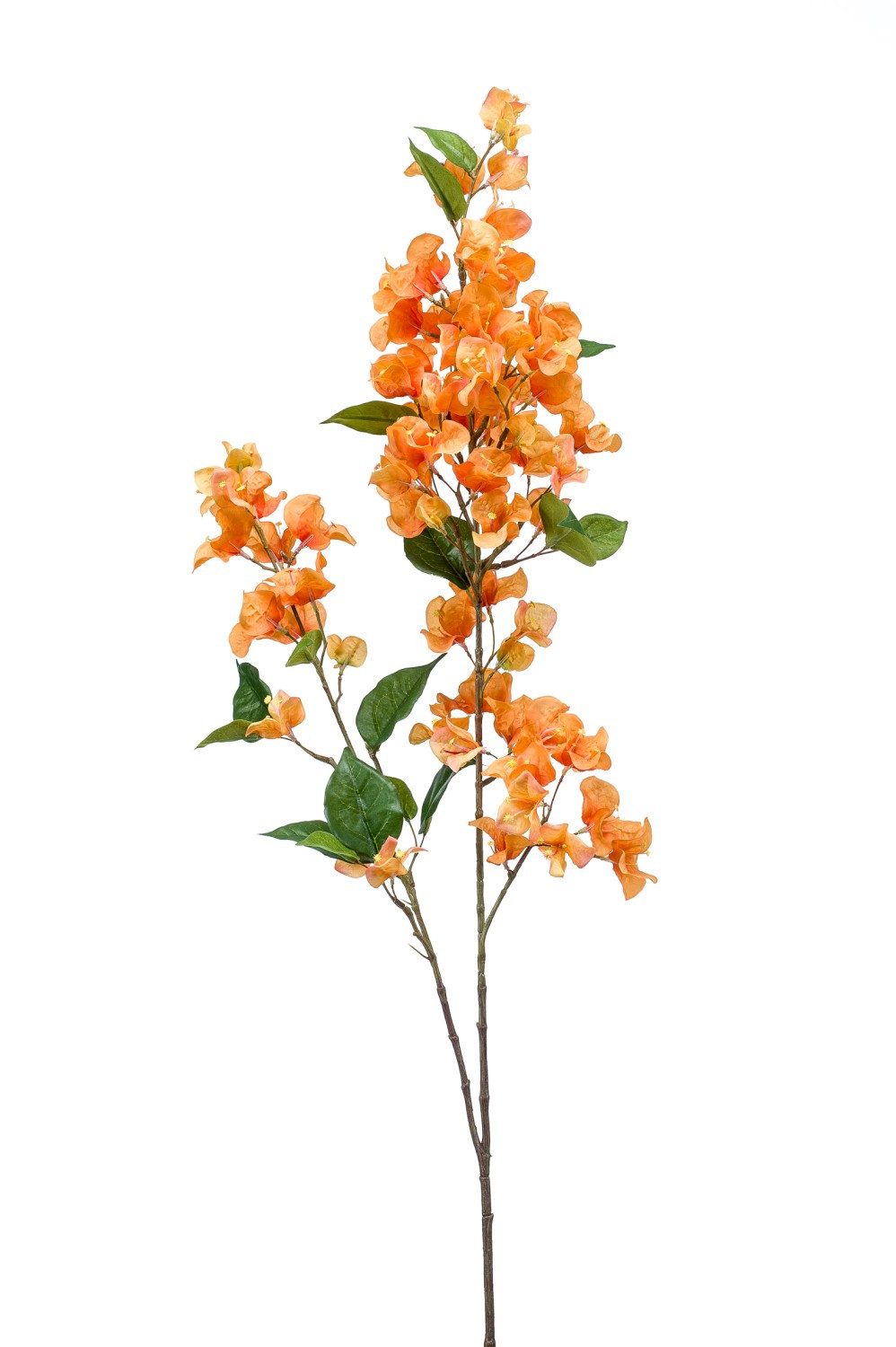 Kunstzweig Dekozweig Bougainvillea MONELS mit Blüten, orange, 115cm Bougainvillea, artplants, Höhe 115.0 cm
