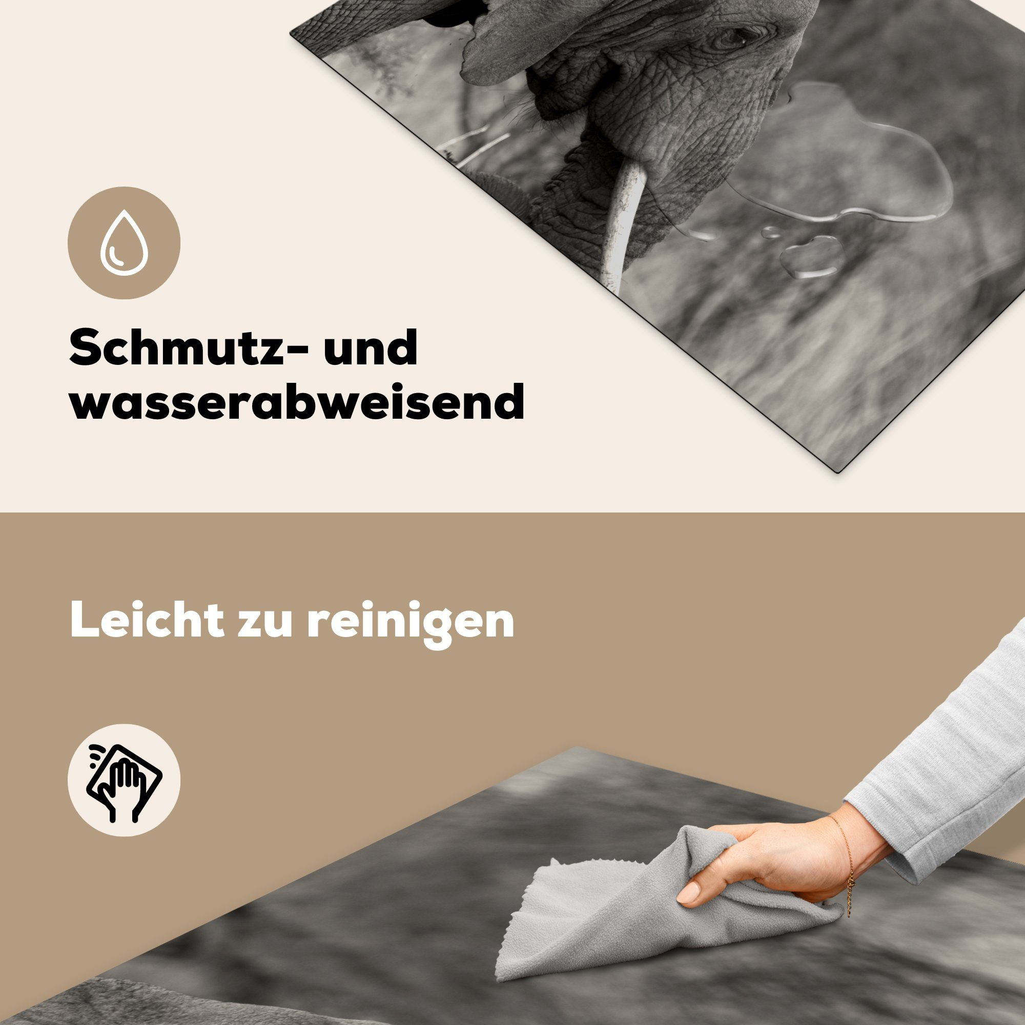 Herdblende-/Abdeckplatte für Elefant tlg), Weiß, Schutz (1 MuchoWow cm, küche, Vinyl, Induktionskochfeld - die - Schwarz Tiere - 81x52 Ceranfeldabdeckung