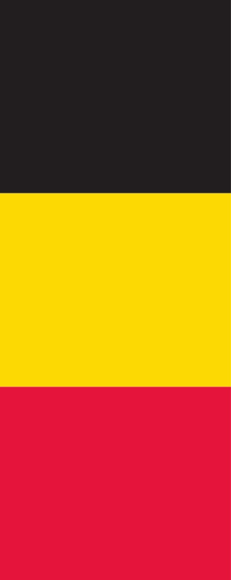 flaggenmeer Flagge Belgien 160 g/m² Hochformat