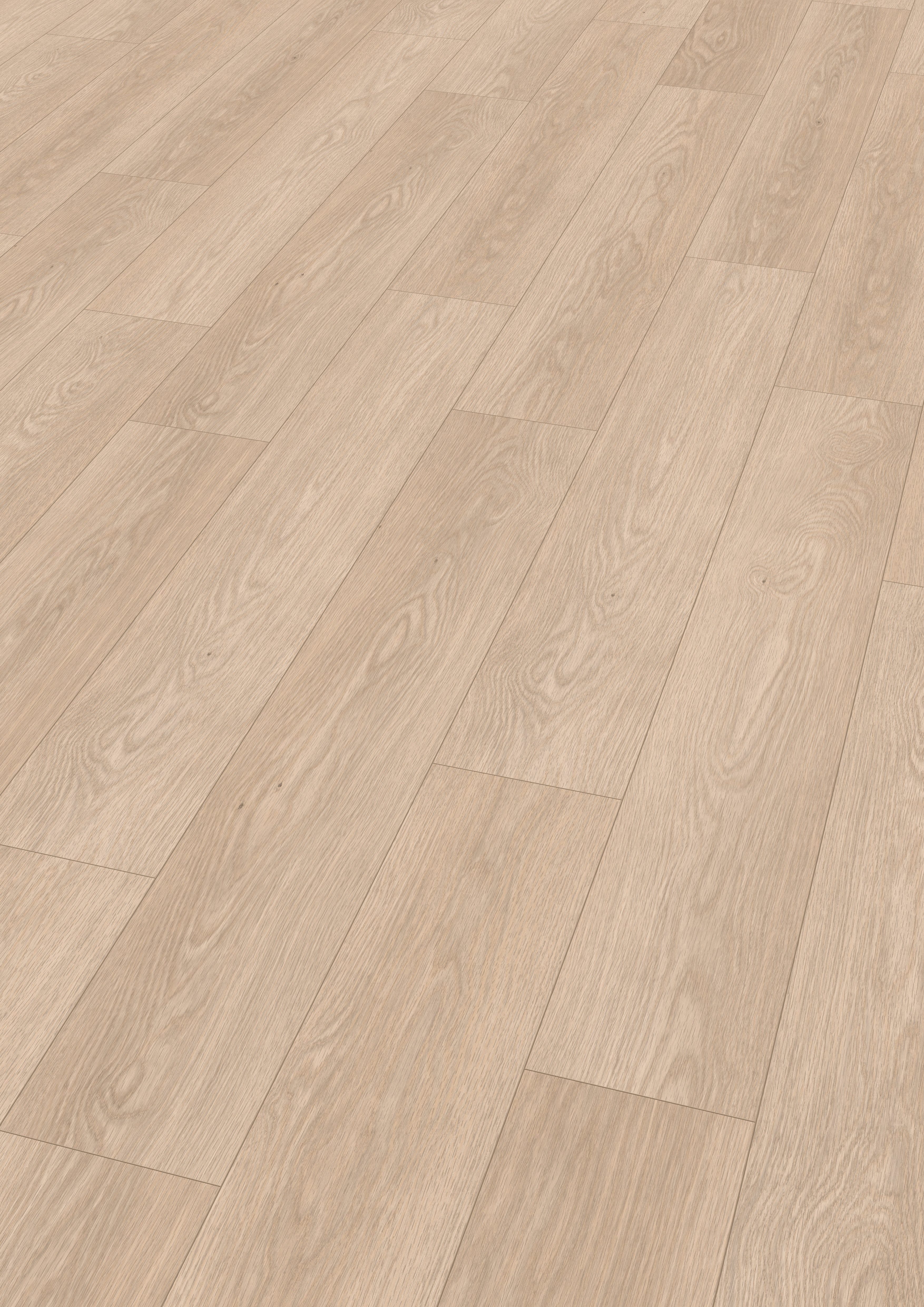 EGGER Laminat Promo H2132 Baronia Eiche hell, (8mm, 1,995m), Praktisch & Pflegeleicht