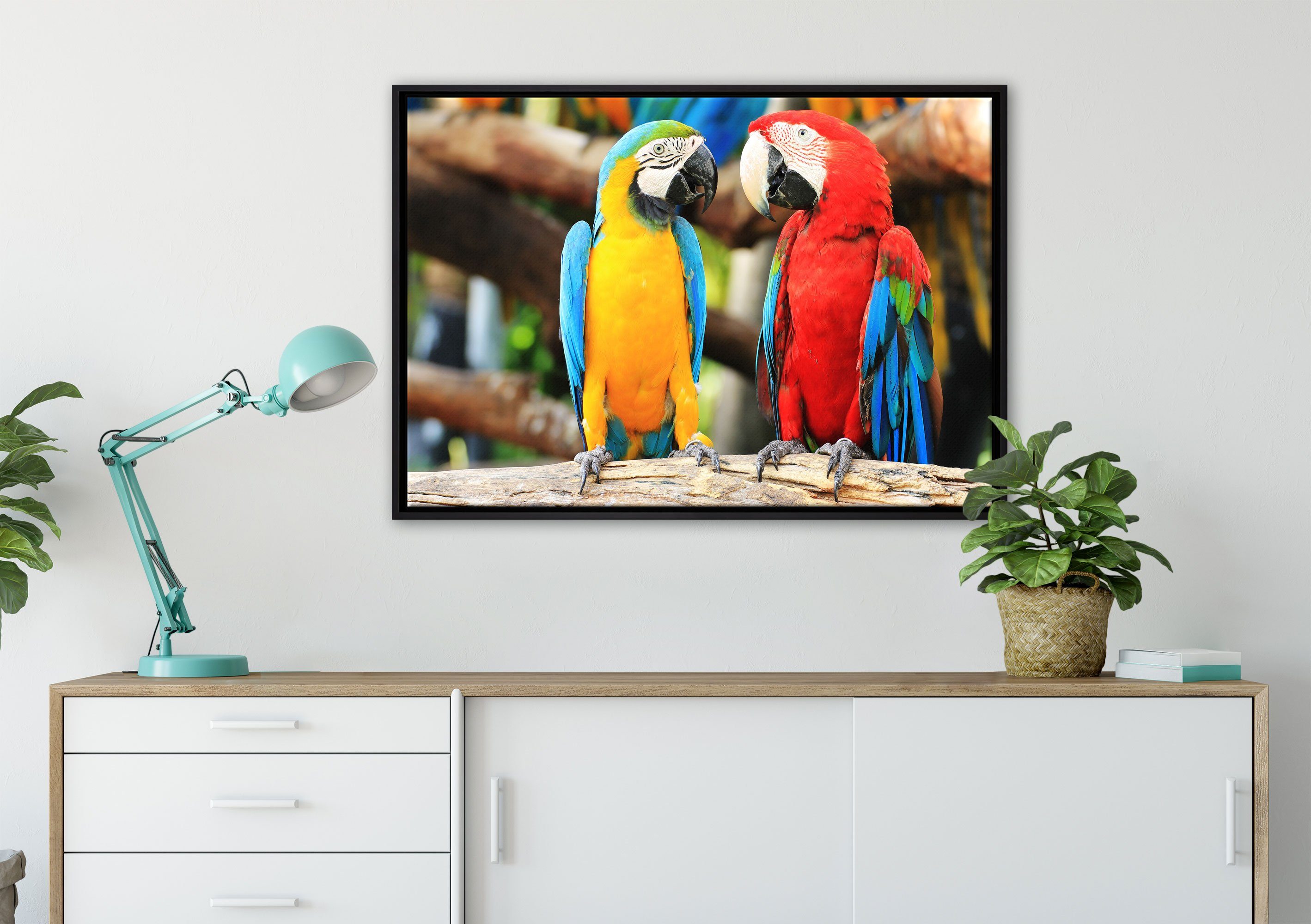 Papageien inkl. Ast, in einem Leinwandbild St), Zwei auf Schattenfugen-Bilderrahmen Leinwandbild bespannt, Wanddekoration Zackenaufhänger gefasst, einem Pixxprint (1 fertig