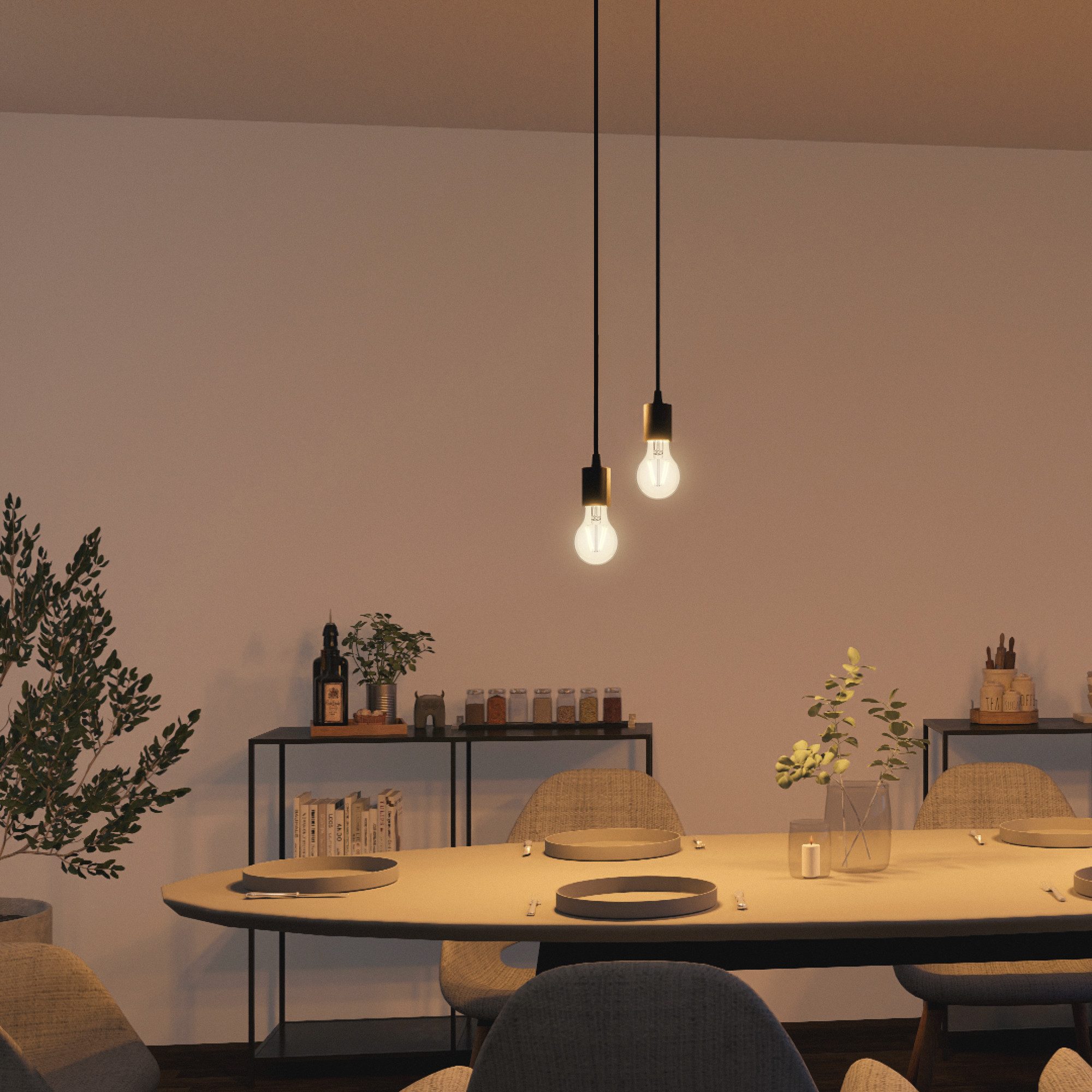 SSC-LUXon LED-Hängeleuchte PARU Hängeleuchte 2 flammig schwarz rund LED Glühbirnen E27 warmweiß, Warmweiß