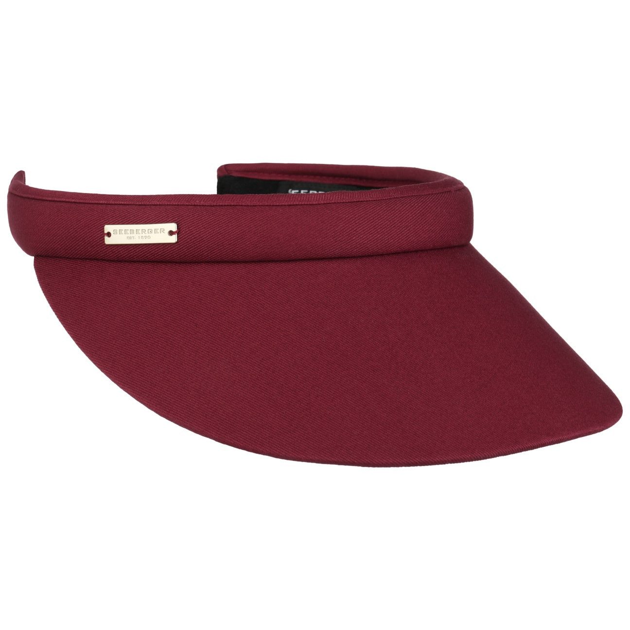 Visor