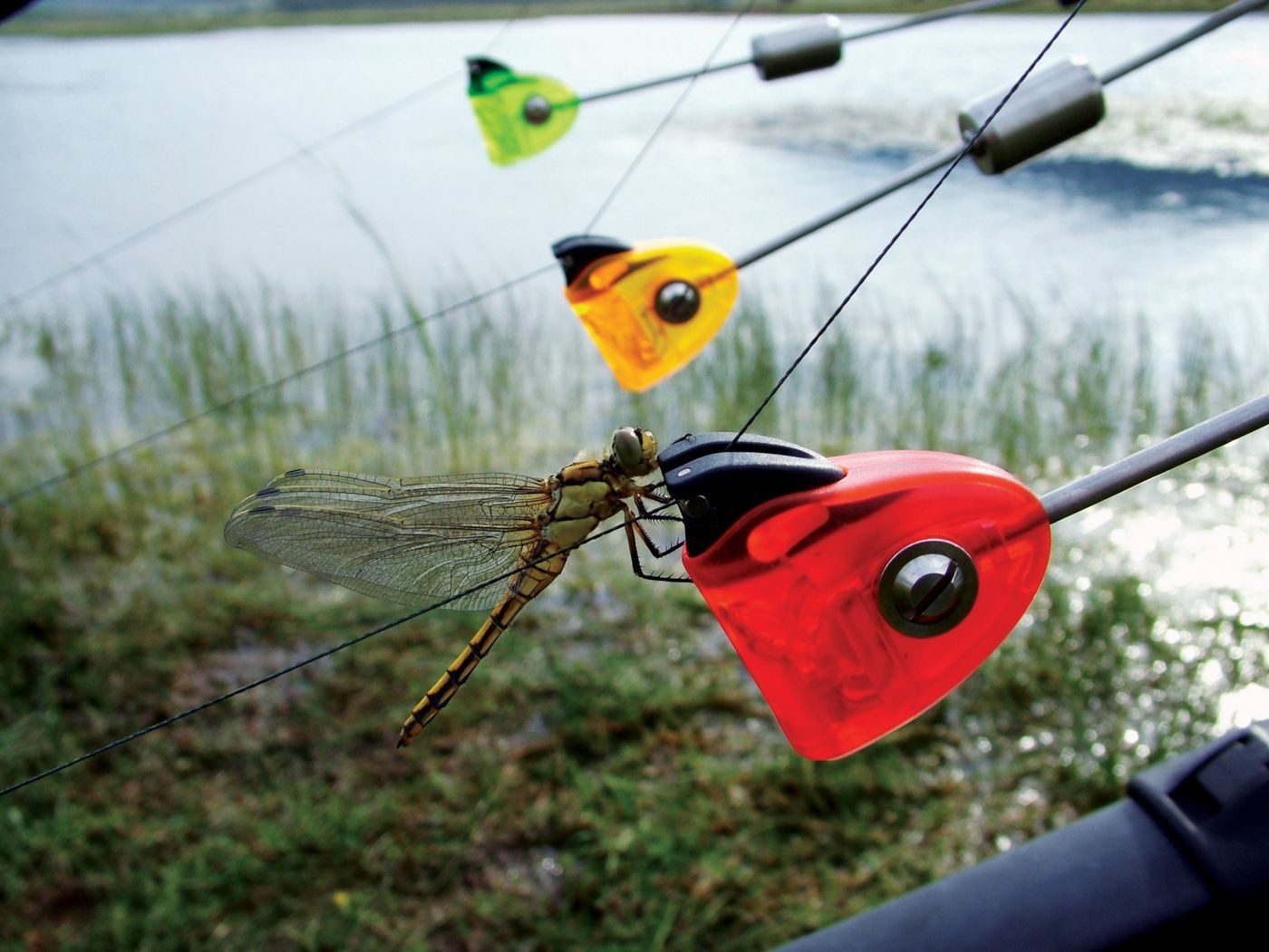 FOX International Hängebissanzeiger FOX MK2 Illuminated Swinger 3er Set