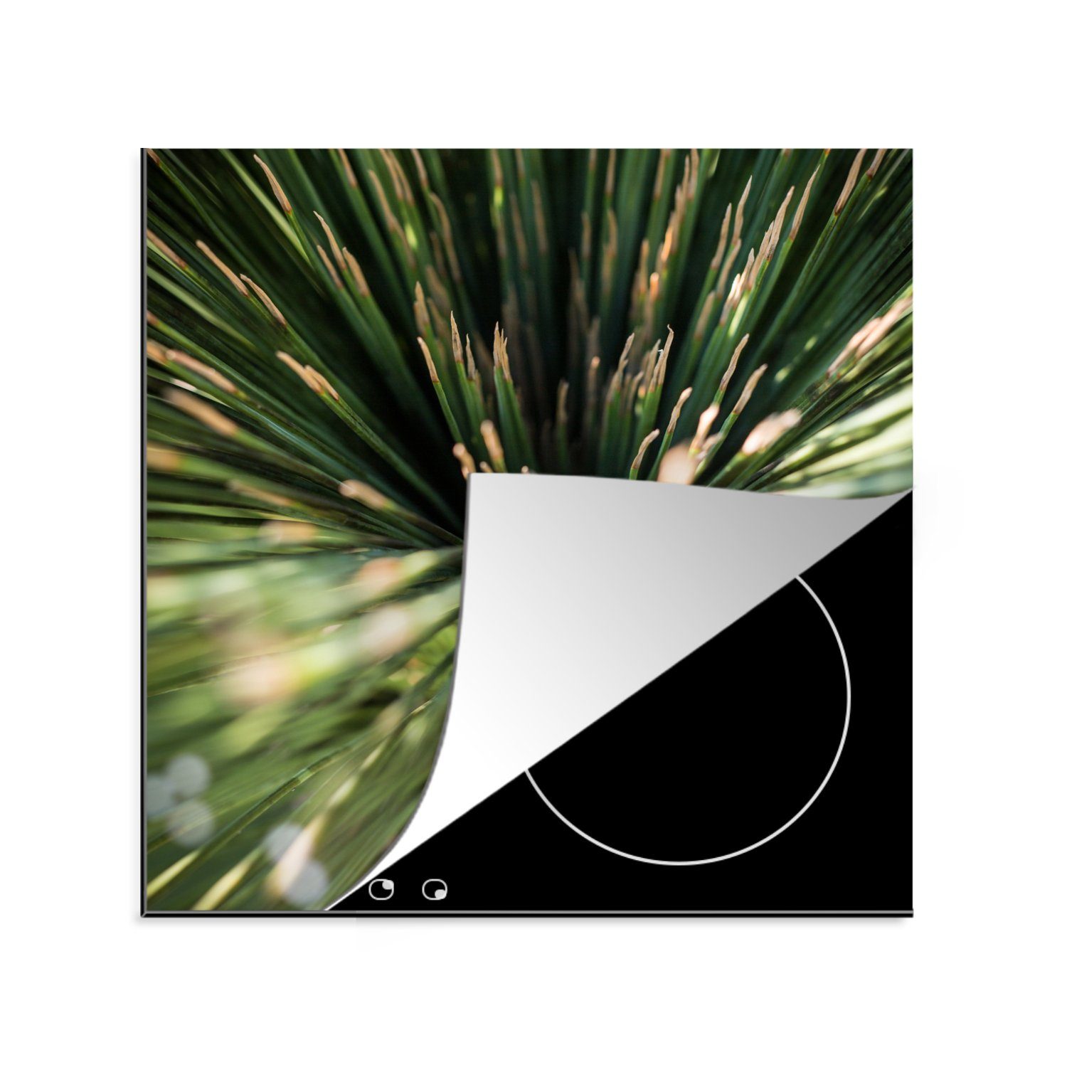 Abstrakt MuchoWow Arbeitsplatte tlg), - Kaktus Vinyl, 78x78 cm, (1 Pflanze, küche - Herdblende-/Abdeckplatte für Ceranfeldabdeckung,