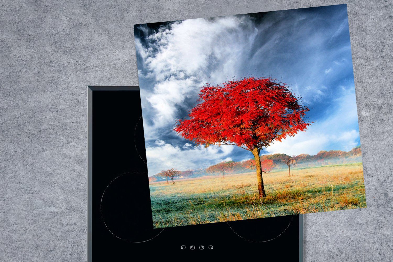 MuchoWow Herdblende-/Abdeckplatte Die roten tlg), Baum, für Vinyl, (1 Arbeitsplatte küche einem an einsamen Blätter 78x78 Ceranfeldabdeckung, cm