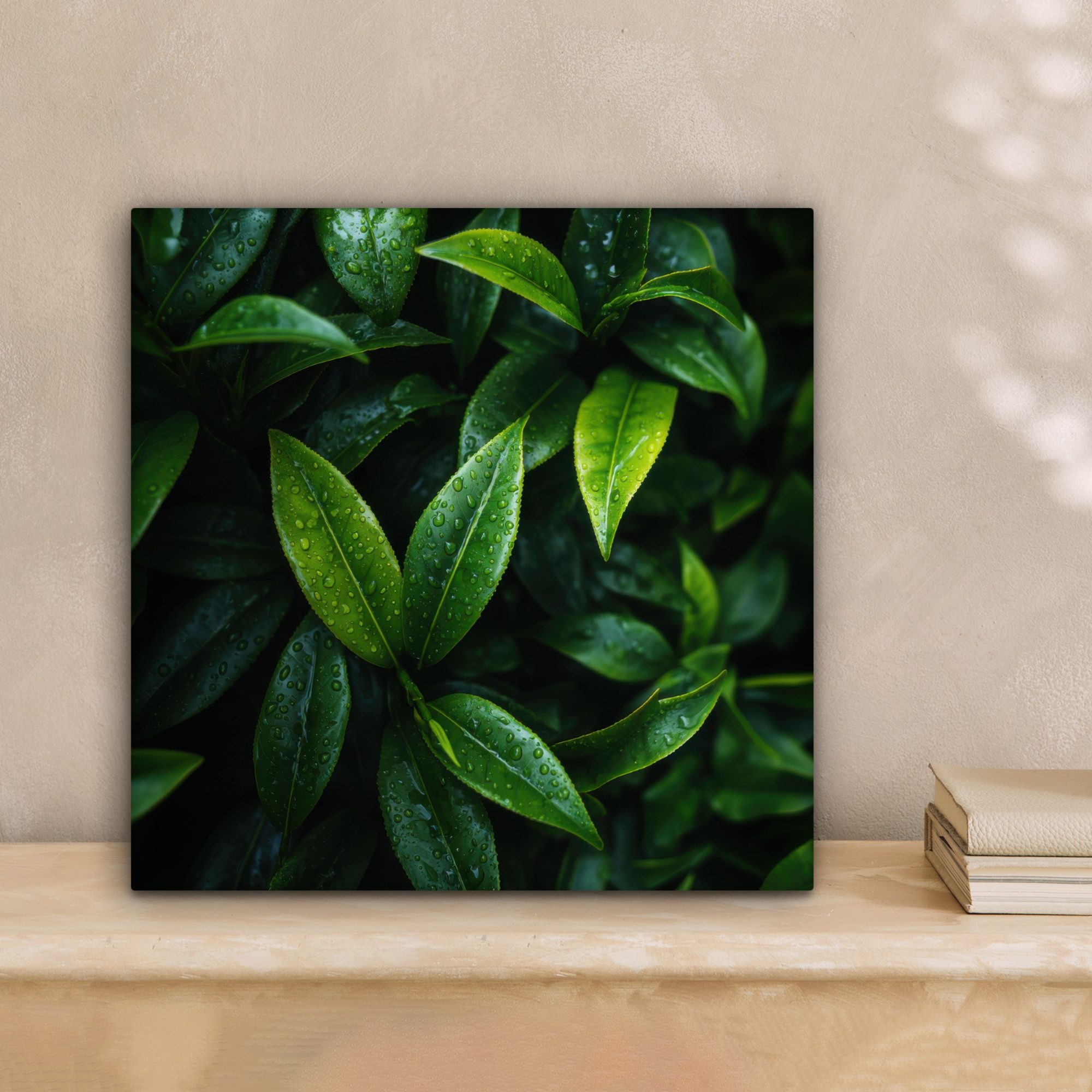 OneMillionCanvasses® Leinwandbild Blätter - Regentropfen - Licht - Grün, Fo günstig online kaufen