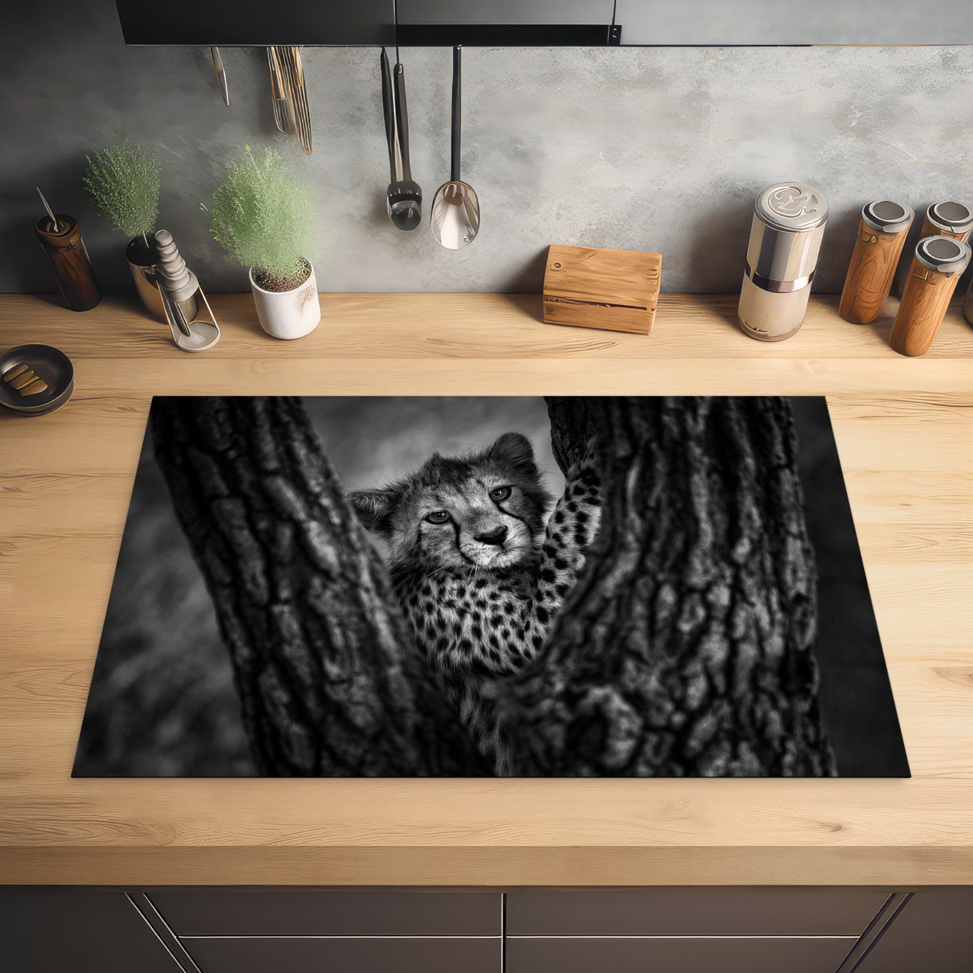 MuchoWow Herdblende-/Abdeckplatte Junger Gepard tlg), Baum, die für küche, Schutz einem cm, (1 Ceranfeldabdeckung auf Vinyl, 81x52 Induktionskochfeld