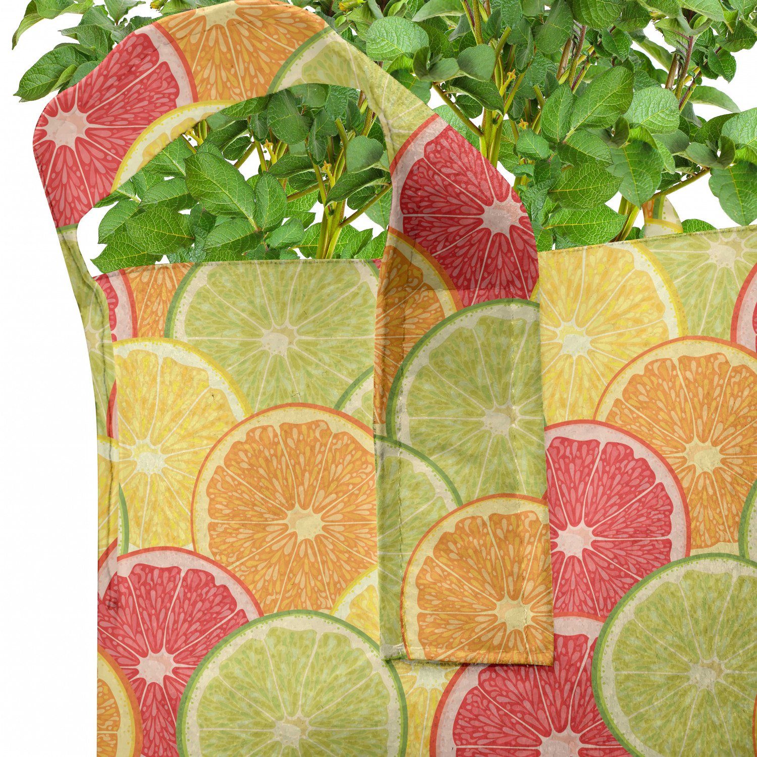 Abakuhaus Pflanzkübel hochleistungsfähig Stofftöpfe Pflanzen, mit Orange Früchte Bunt für Griffen Zitrone