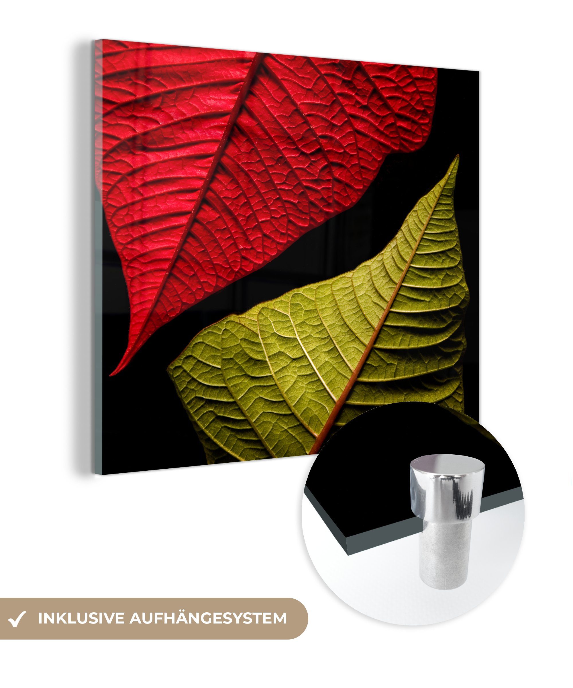 Glasbilder grüne Acrylglasbild auf schwarzem - Bilder Hintergrund, - auf Glas Rote und Glas Wanddekoration St), Blätter MuchoWow Wandbild Foto (1 auf -