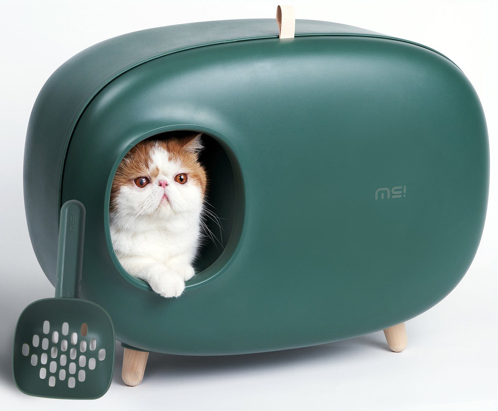 Purpurra Katzentoilette Makesure Katzentoilette geschlossenes Design, mit Katzenstreuschaufel