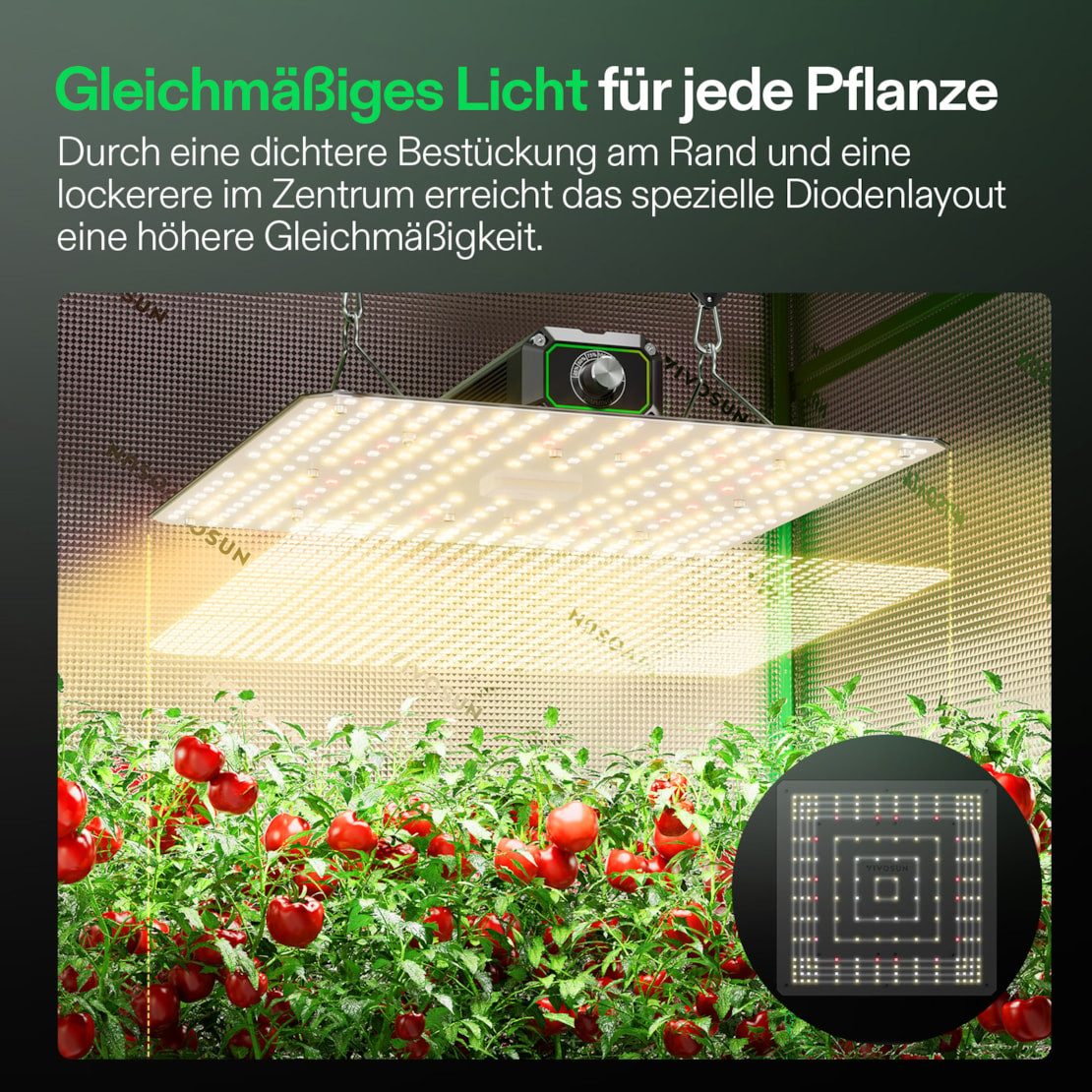 VIVOSUN Pflanzenlampe VIVOSUN LumaLight, LED fest integriert, Vollspektrum, 100W High-PPFD für Indoor-Pflanzen – Bild 5 von 5