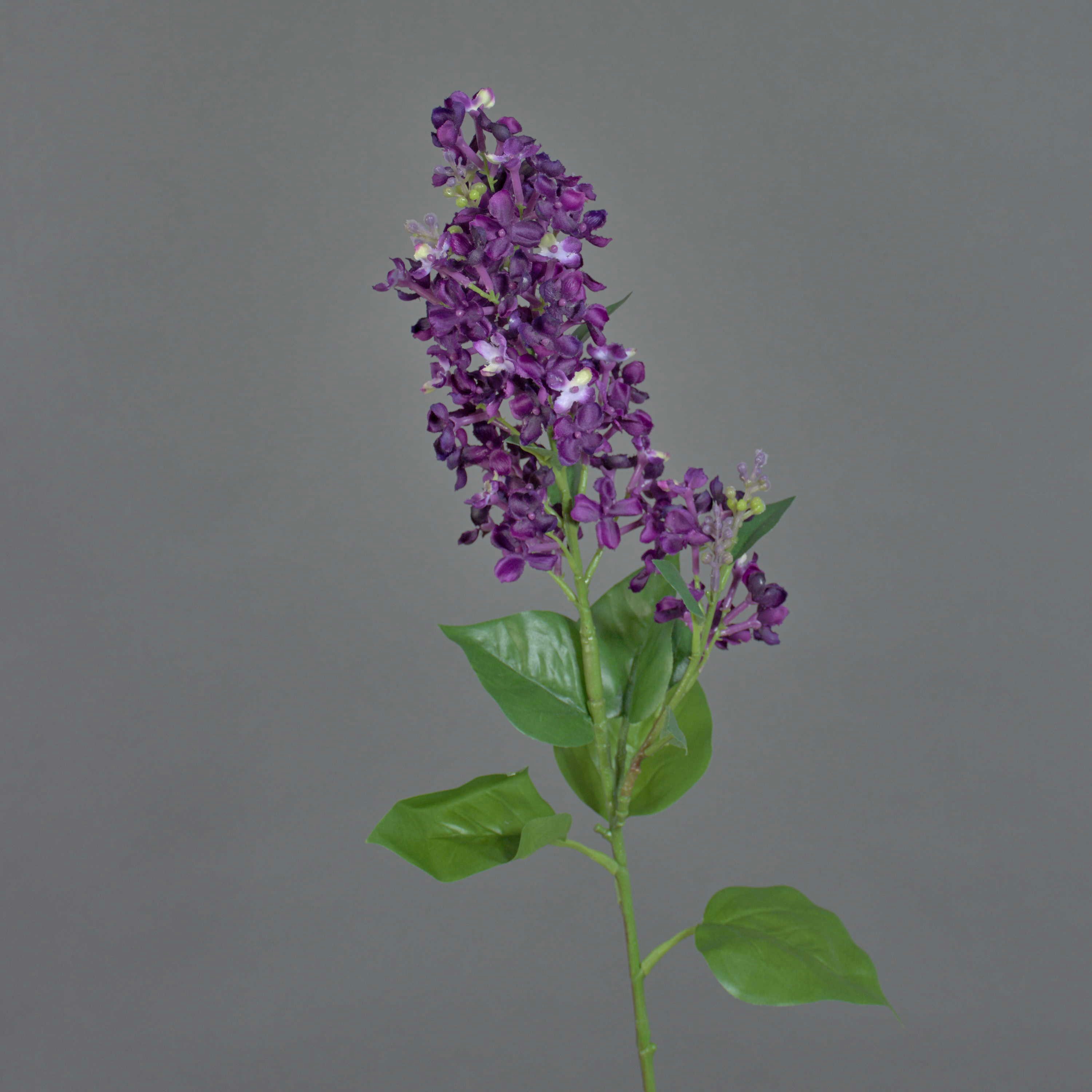 Kunstzweig Künstlicher Flieder Zweig ADMIR, dunkelviolett, 80cm Flieder, artplants, Höhe 80.0 cm