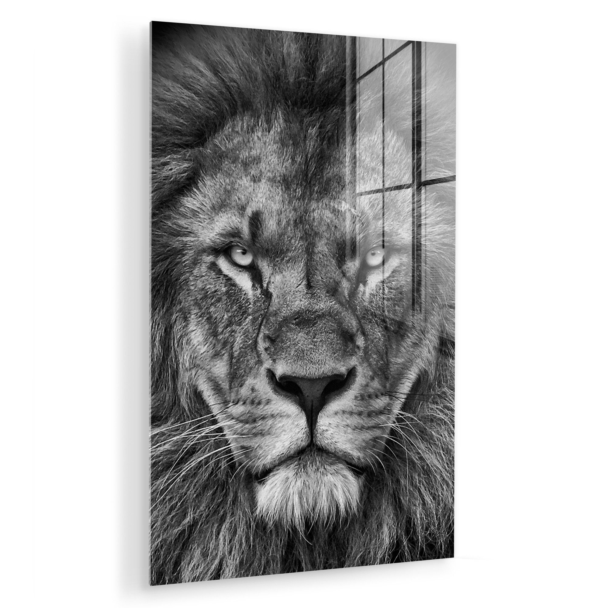 MuchoWow Acrylglasbild Tiere - Löwe - Schwarz - Weiß - Porträt, Inkl. Aufhä günstig online kaufen