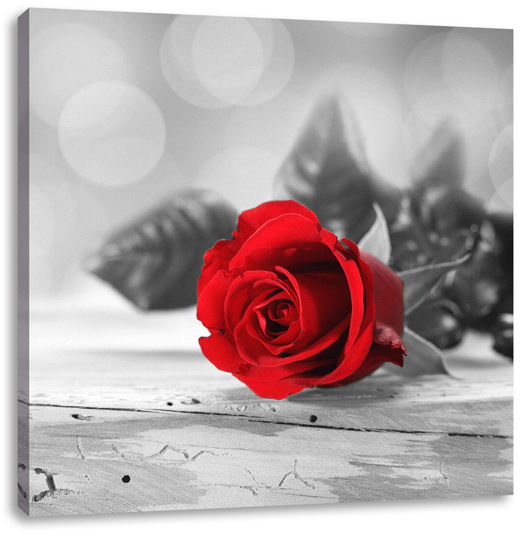 Rose Pixxprint (1 Holztisch auf inkl. Leinwandbild St), Zackenaufhänger Leinwandbild Rose Holztisch, bespannt, fertig auf