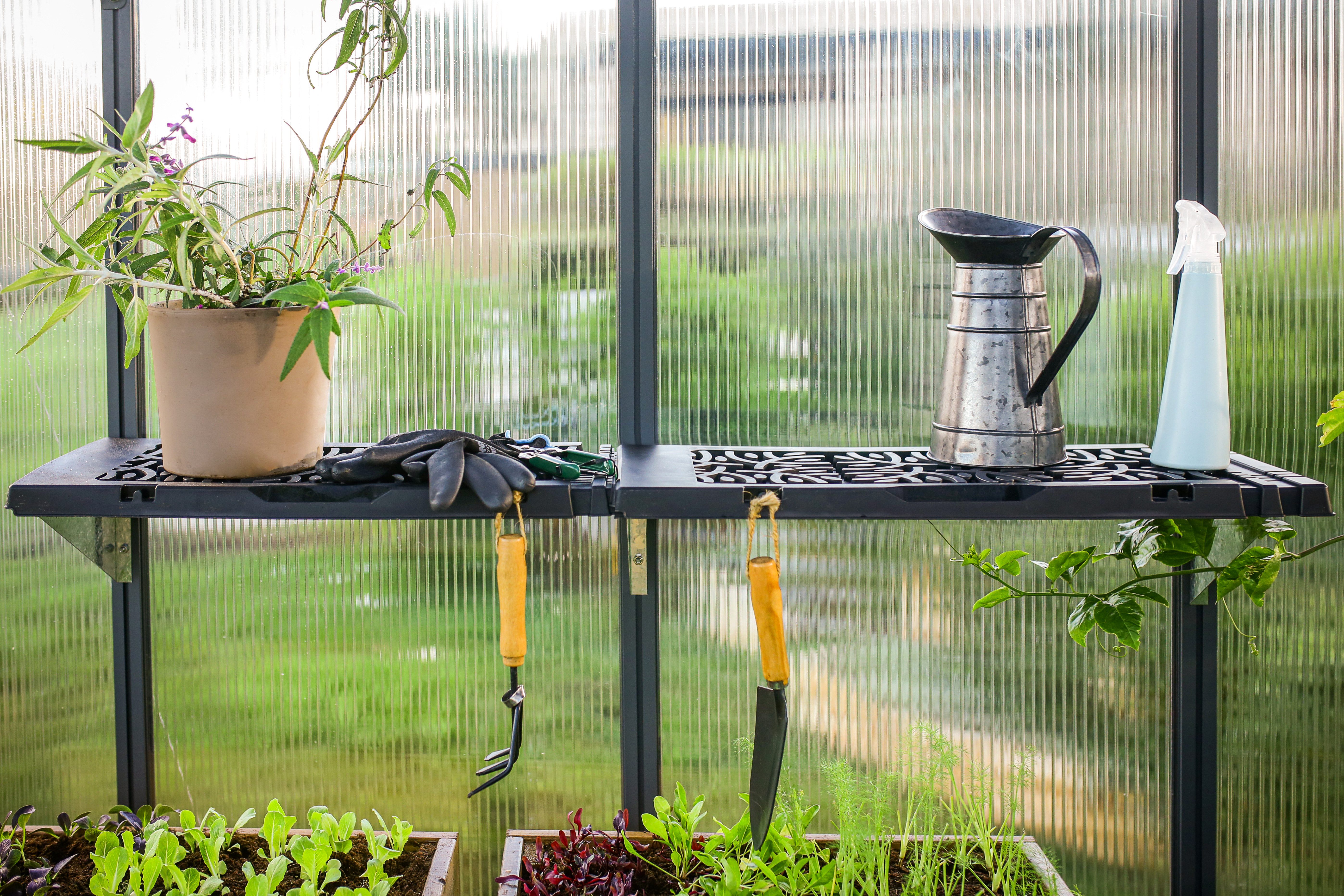 Palram - Canopia Anbauregal Leaves Design, Set 2-tlg., Regalset