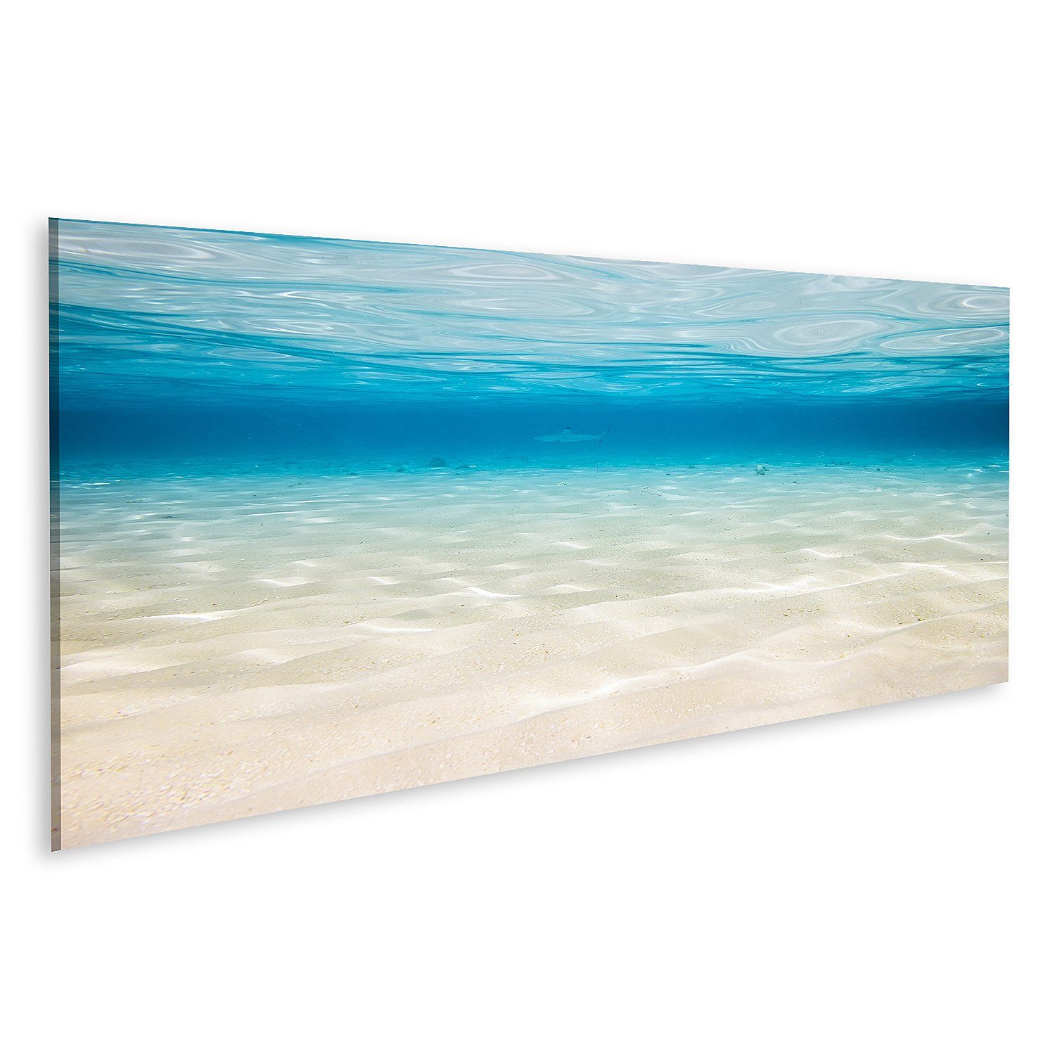 islandburner Leinwandbild Bild auf Leinwand Unterwasserhintergrund mit sandigem Meeresboden Wand