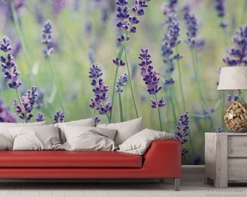 Wallario Vliestapete Lila Blumenfreude - Violette Pflanzen auf der Wiese, seidenmatte Oberfläche