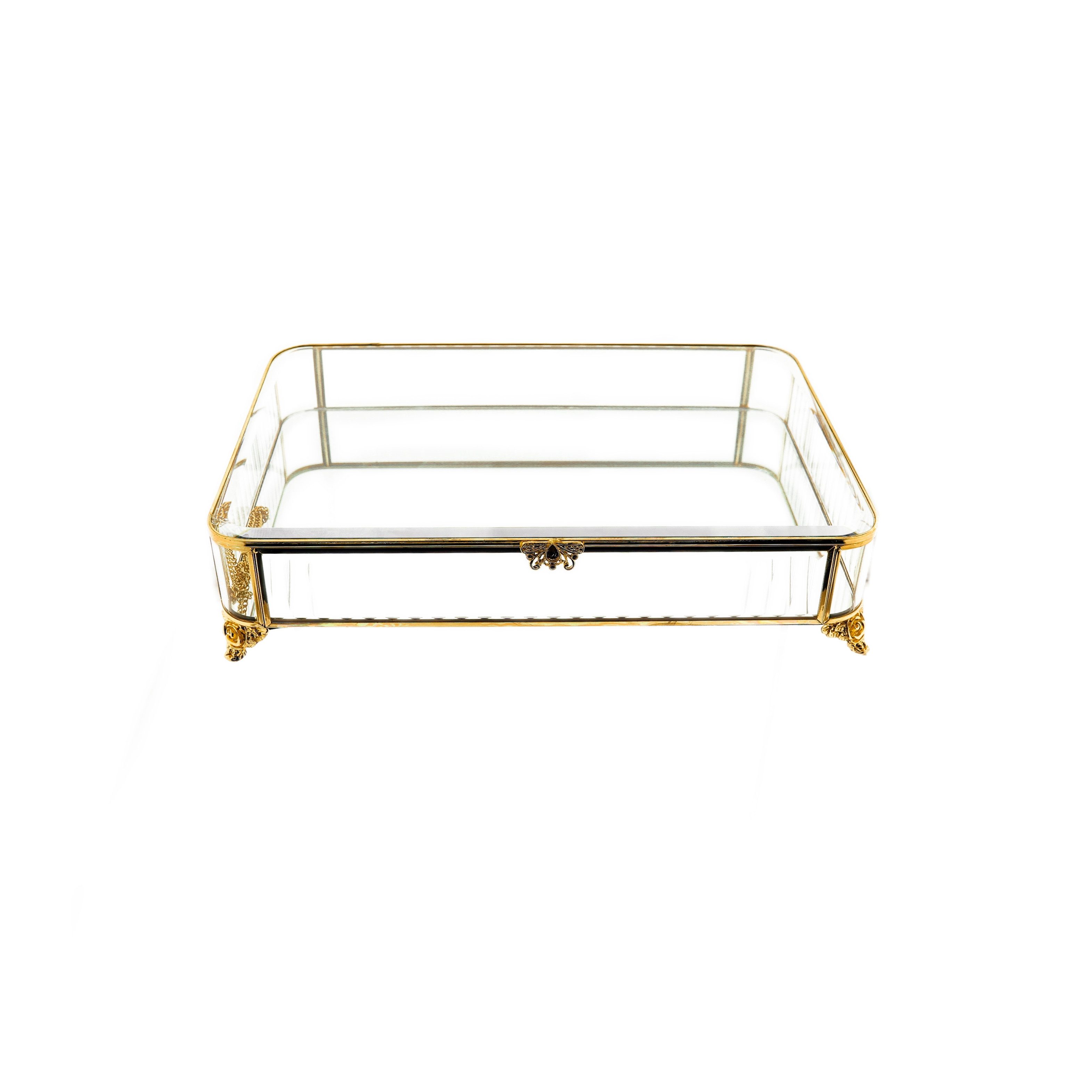 Almina Aufbewahrungsdose Glaskiste 35 x 25 x 8 cm (1 St), Rechteckig mit Spiegelboden & Stahlrahmen