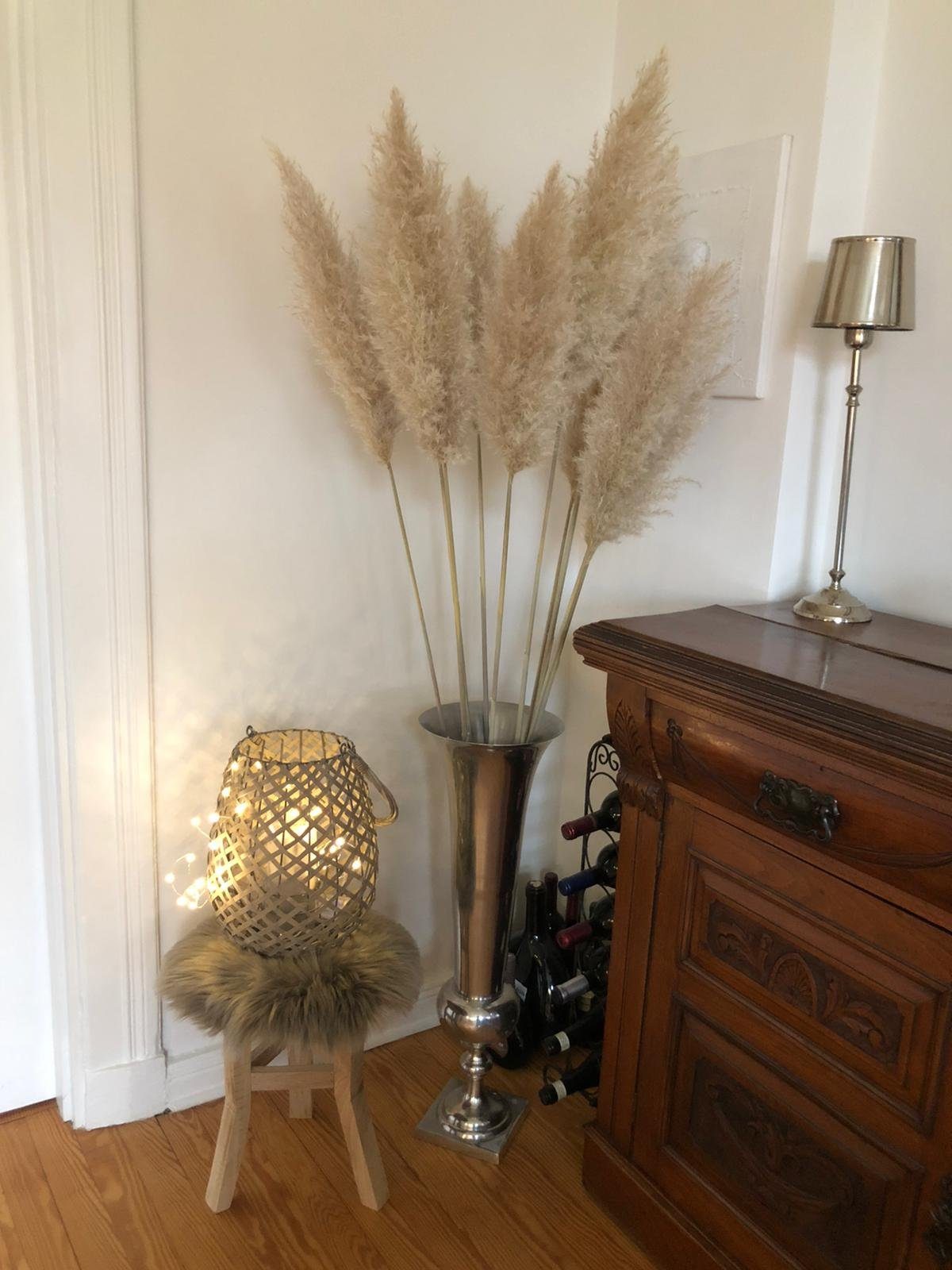 Trockenblume »Pampasgras groß Deko beige 120 cm lang 3 Stück