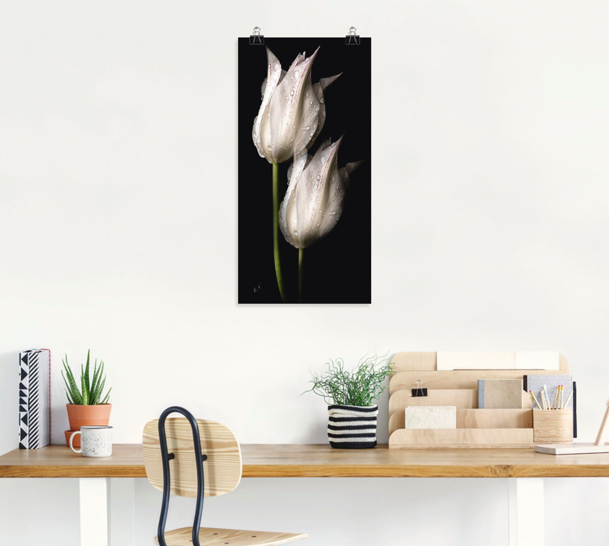 Tulpen der Wandaufkleber in Artland Größen in versch. Alubild, Leinwandbild, St), (1 Weiße Blumenbilder Wandbild Poster als oder Nacht,