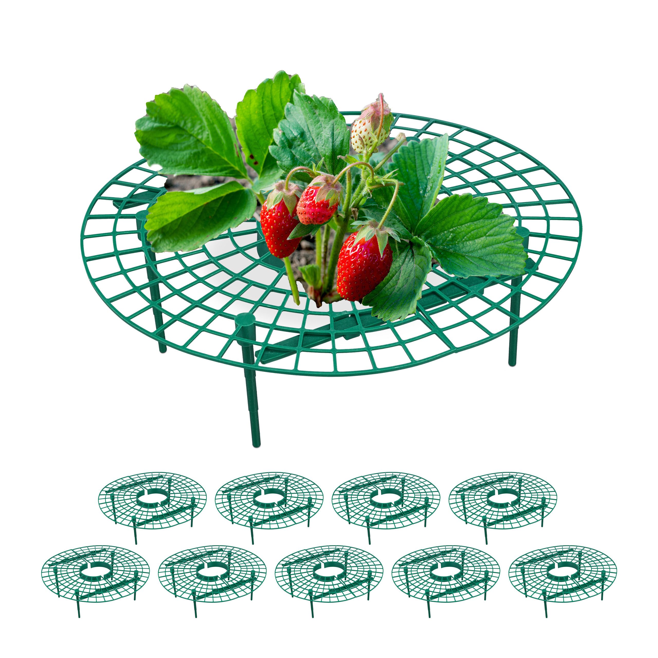 Erdbeerreifer 10er Set
