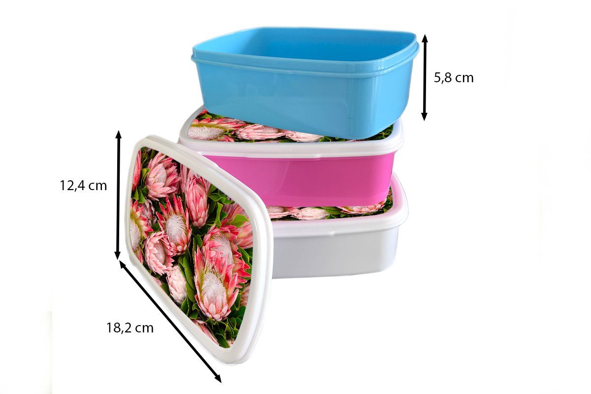(2-tlg), Protea, MuchoWow - Lunchbox für Kunststoff, Brotbox Brotdose Kunststoff Blumen Rosa Snackbox, Erwachsene, Mädchen, Kinder, -