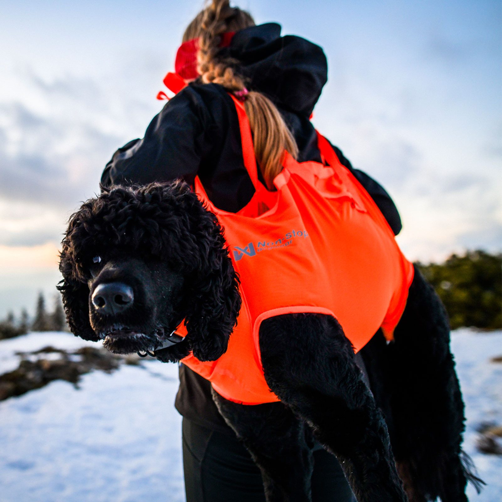 Non-stop dogwear Hunde-Geschirr Dog rescue sling 297, Ein Muss für die Erste-Hilfe-Ausrüstung
