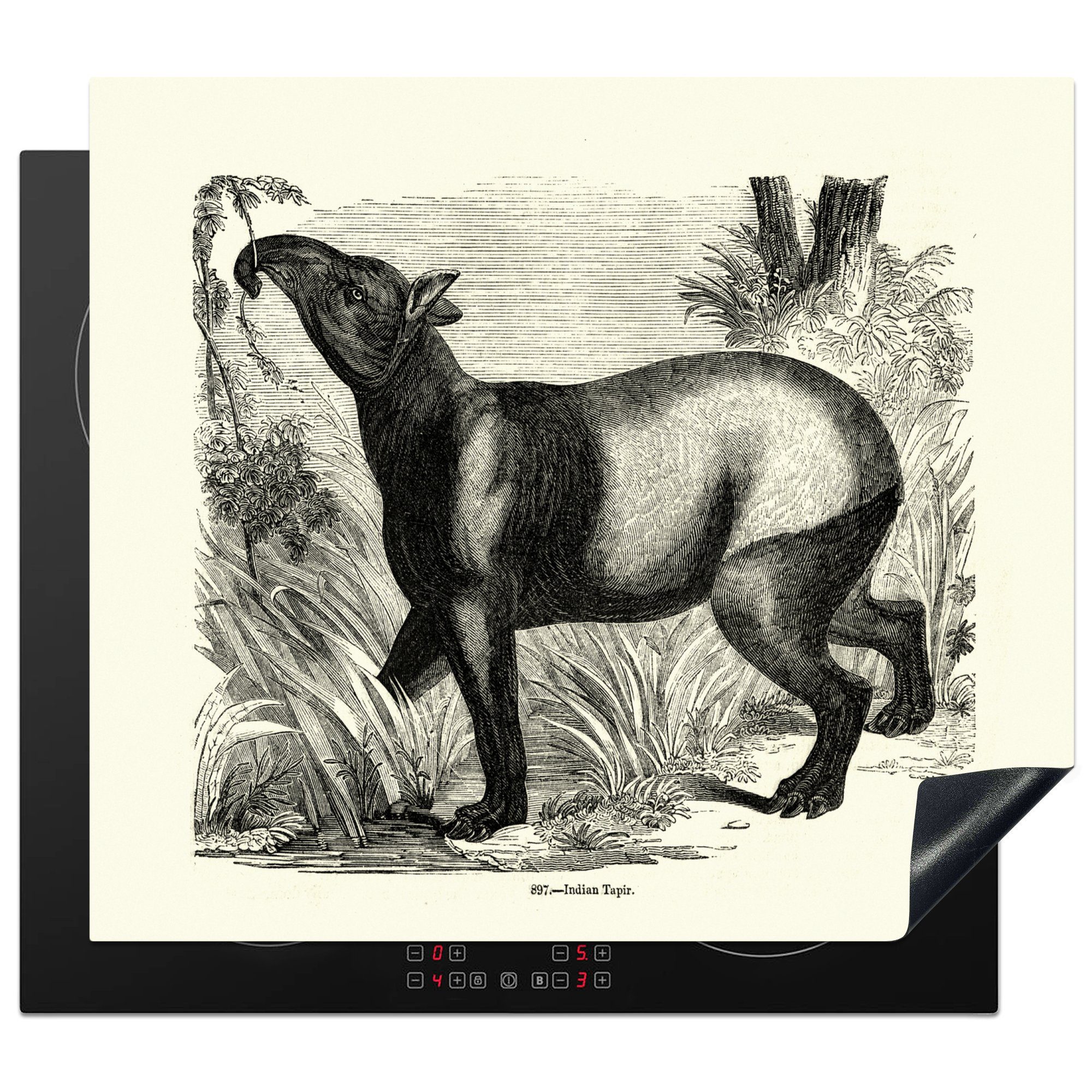 MuchoWow Herdblende-/Abdeckplatte tlg), Tapirs eines Arbeitsfläche Ceranfeldabdeckung Mobile Natur (1 Vinyl, in Weiß, in Illustration nutzbar, der cm, und Schwarz 60x52