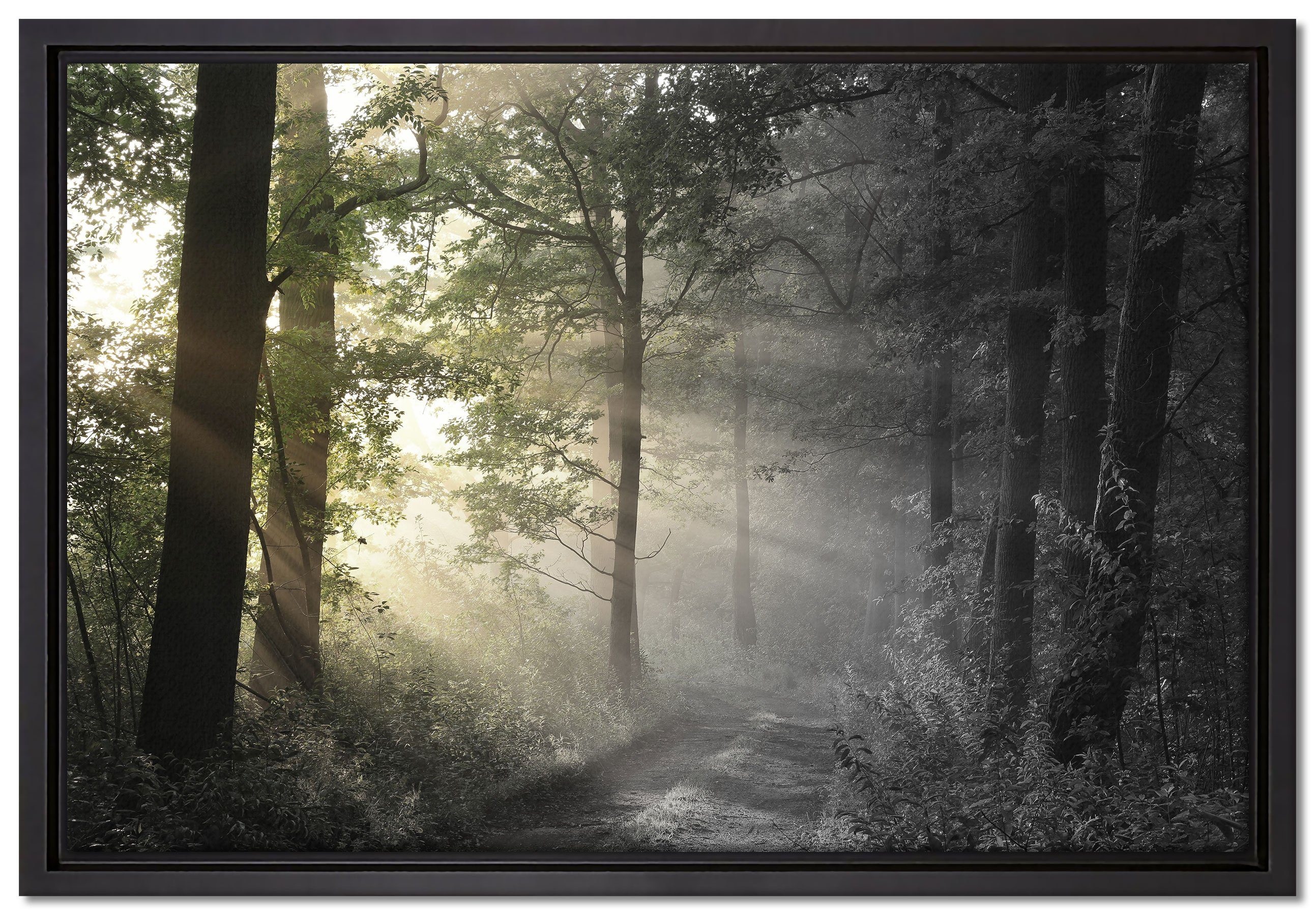 Pixxprint Leinwandbild Waldweg im Grünen, Wanddekoration (1 St), Leinwandbild fertig bespannt, in einem Schattenfugen-Bilderrahmen gefasst, inkl. Zackenaufhänger
