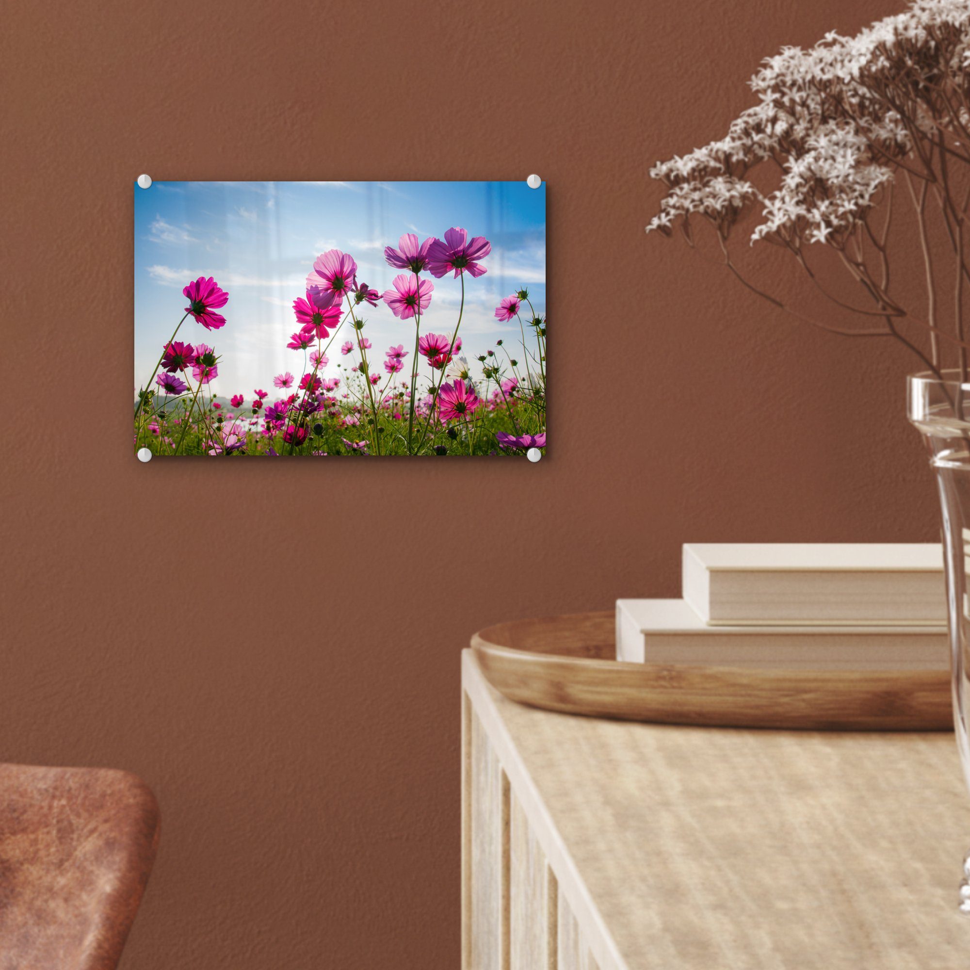 - Wandbild St), Glasbilder - Foto - - Blumen - MuchoWow (1 Cosmea, Acrylglasbild auf Bilder Glas auf Glas Wanddekoration Rosa